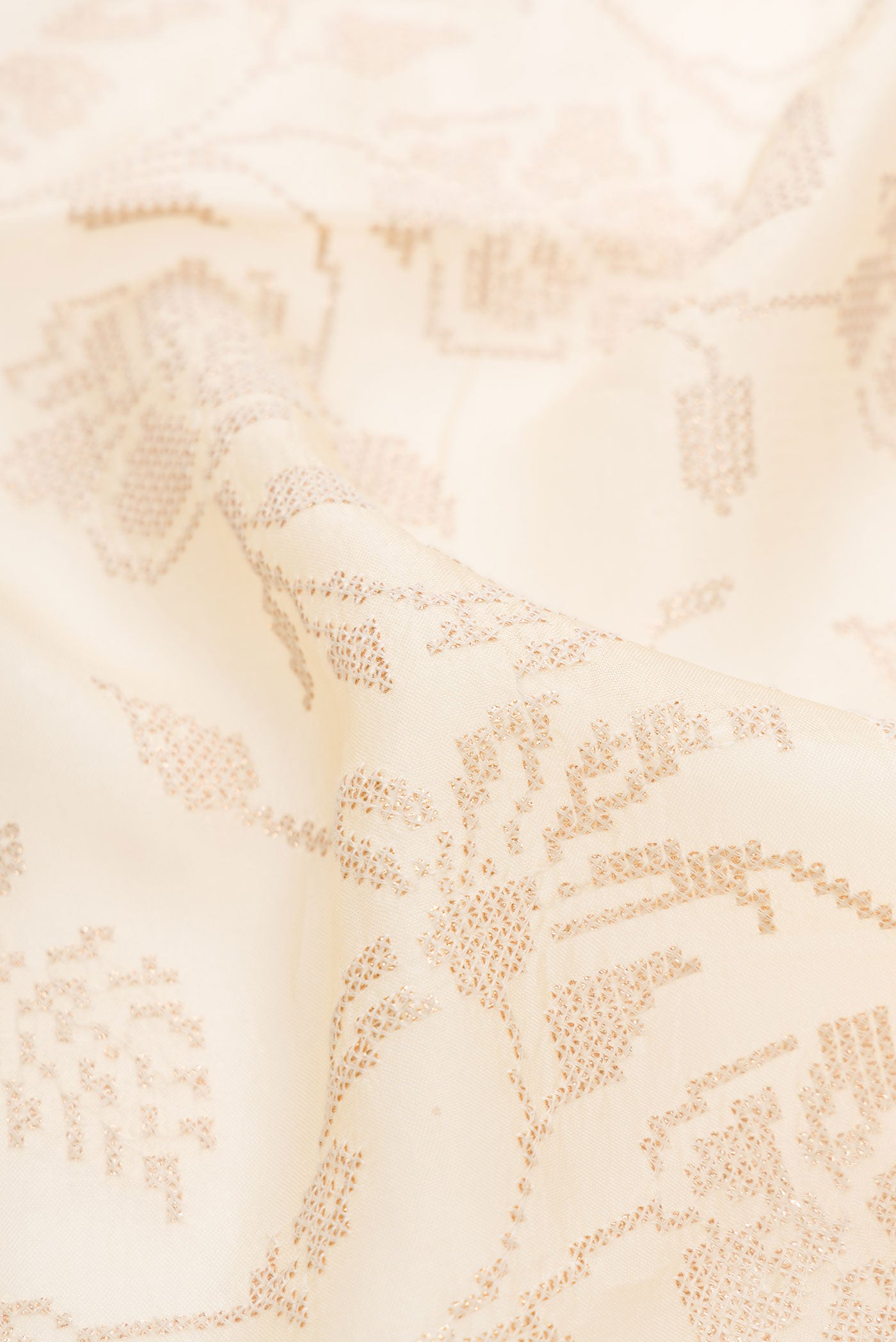 Close up of Beige Dual Tone Organza Silk Saree with Embroidery on the body and Embroidery Border.  displaying folds