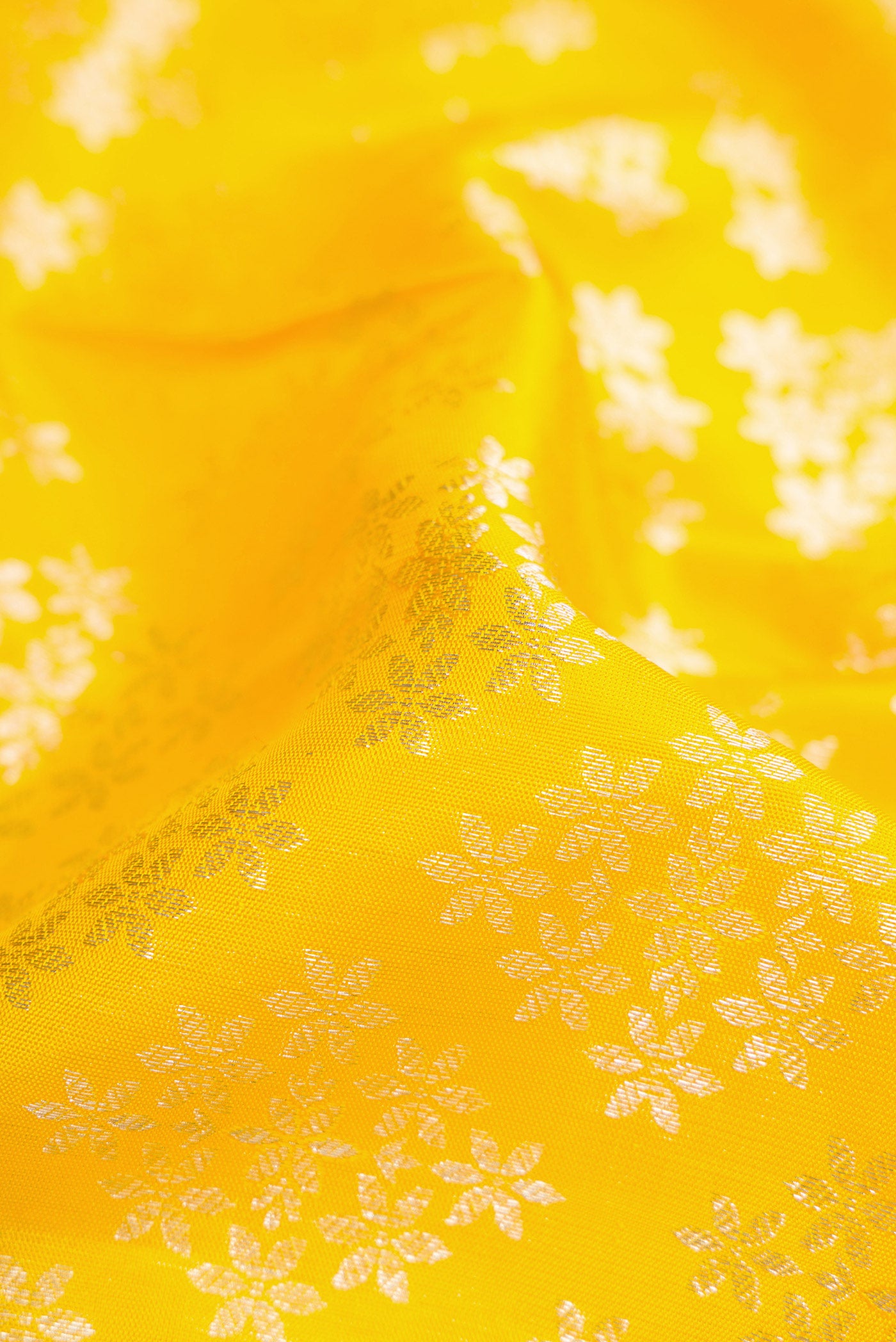 Close up of Yellow Dual Tone Kanjivaram Silk Saree with Zari Brocade on the body and Zari Border.  displaying folds
