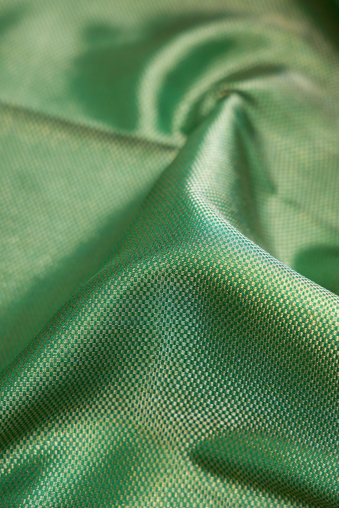 Close up of Pista Green Dual Tone Kanchipuram Silk Saree with Zari Brocade on the body and Zari Border.  displaying folds