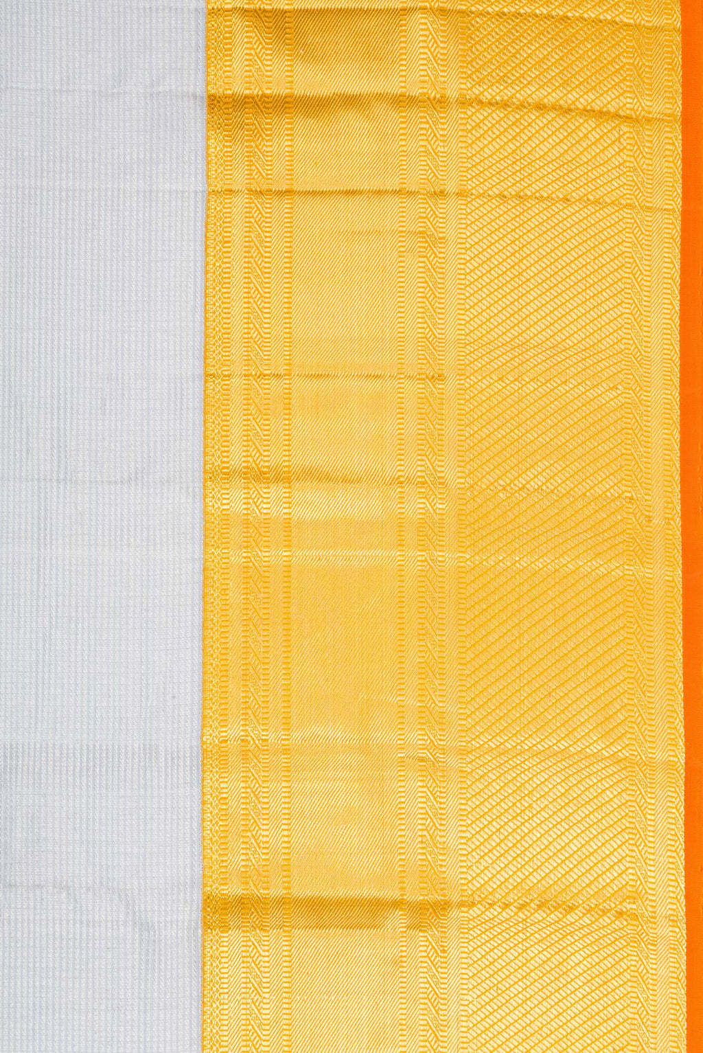 Border image of Grey Dual Tone Kanchipuram Silk Saree with Zari Brocade on the body and Zari Border. 