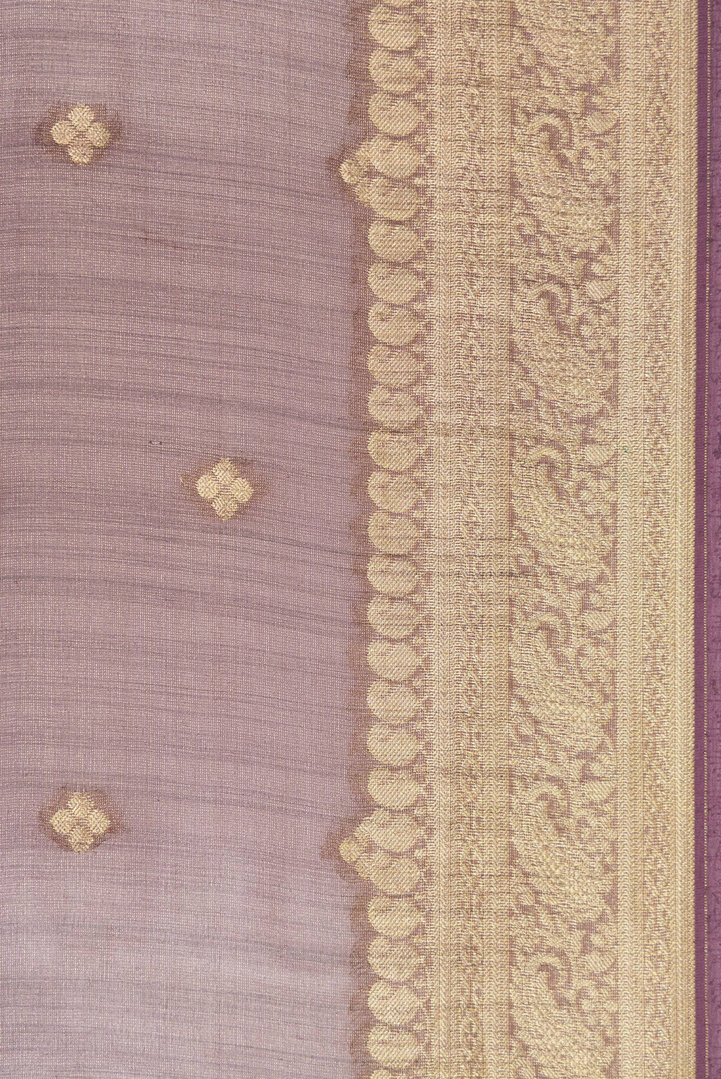Border image of Brown Dual Tone Tussar Silk Saree with Zari Butta on the body and Zari Border. 