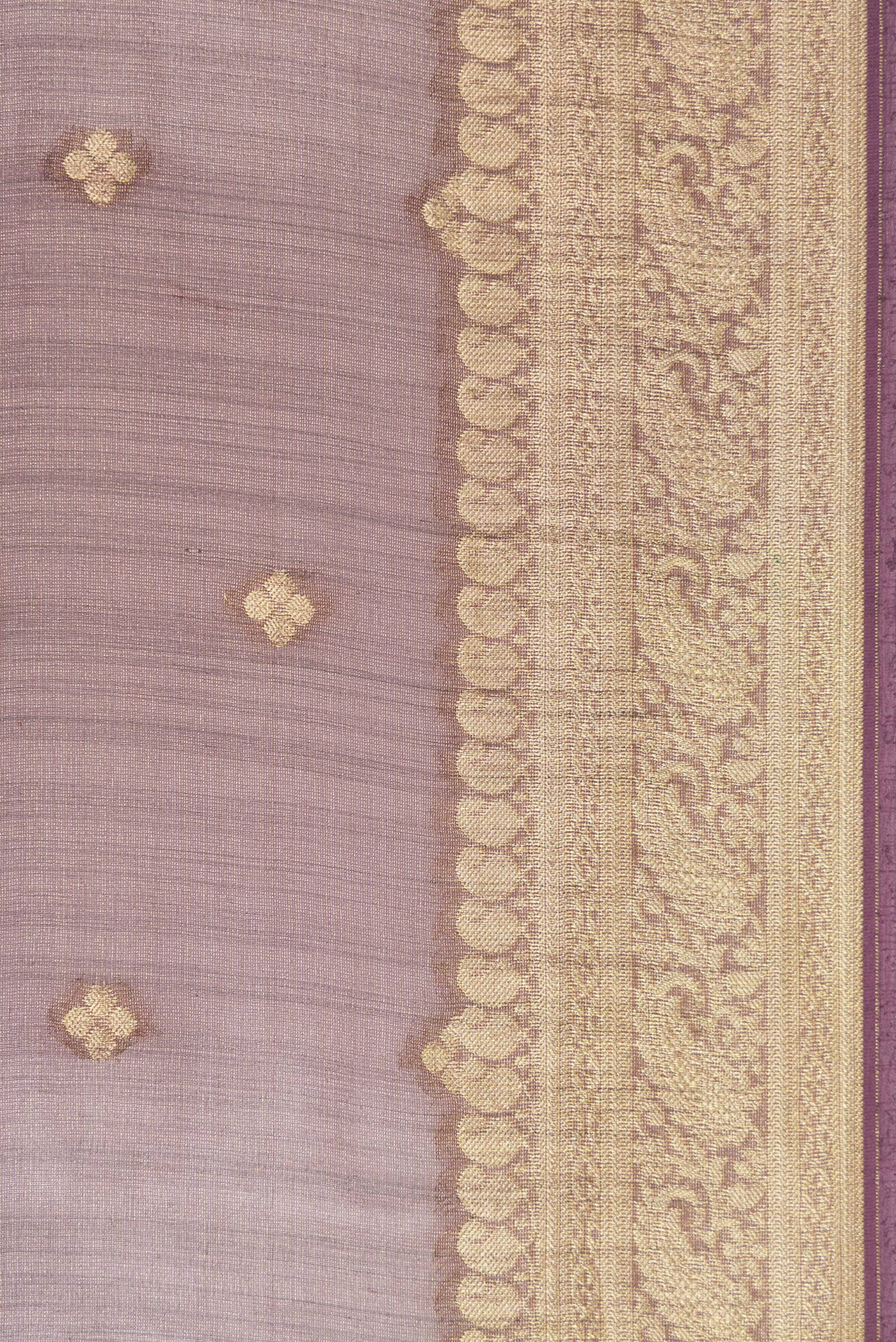 Border image of Brown Dual Tone Tussar Silk Saree with Zari Butta on the body and Zari Border. 