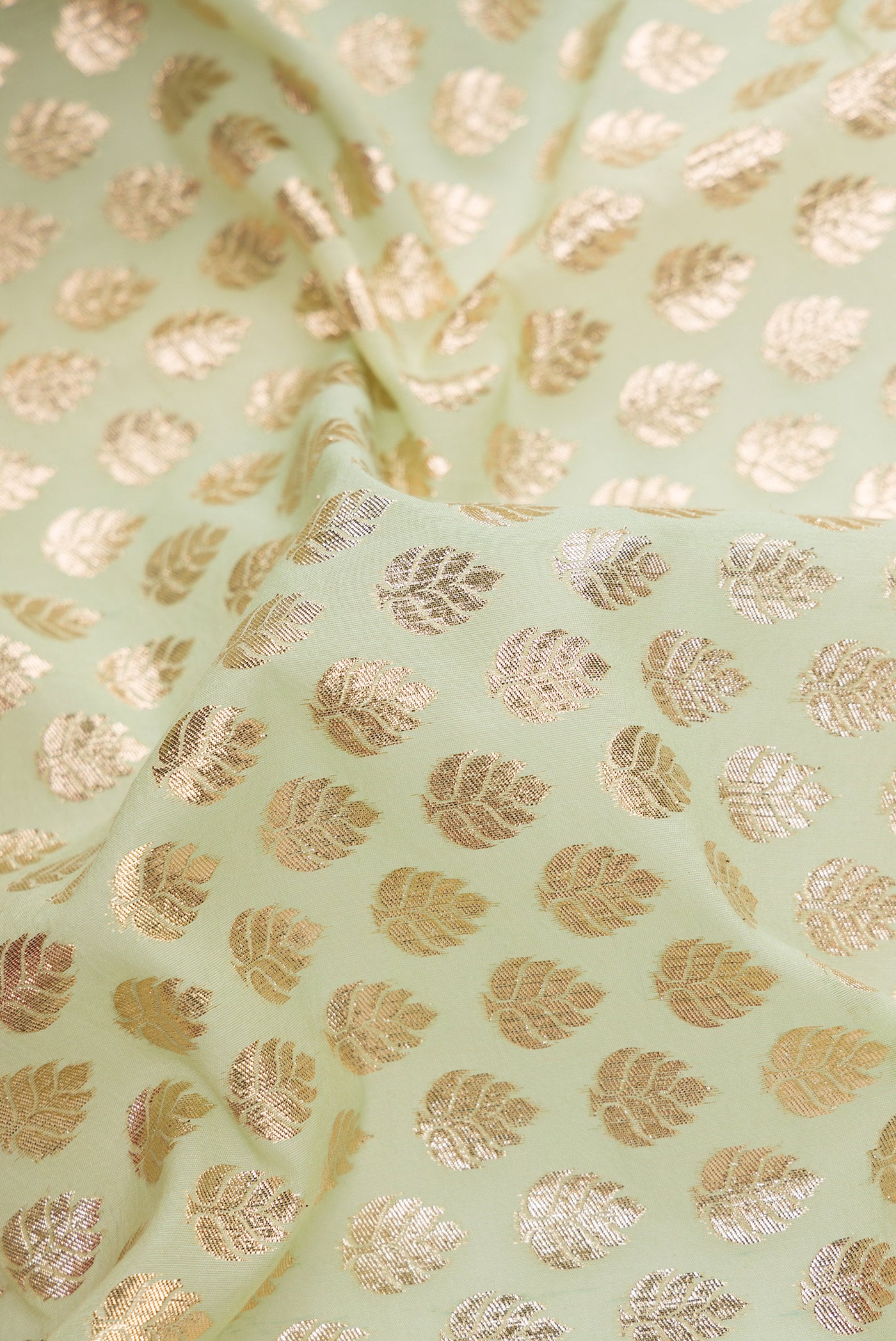 Close up of Pista Green Dual Tone Organza Silk Saree with Zari Brocade on the body and Embroidery Border.  displaying folds