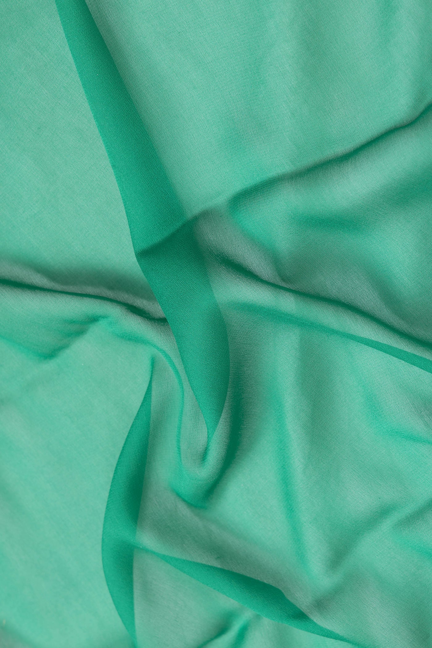 Close up of Green Dual Tone Mysore Georgette Saree with Plain Body and Zari Border.  displaying folds