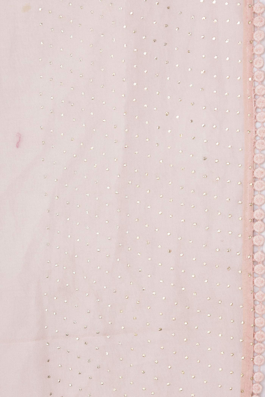 Border image of Peach Dual Tone Organza Silk Saree with Embroidery on the body and Embroidery Border. 