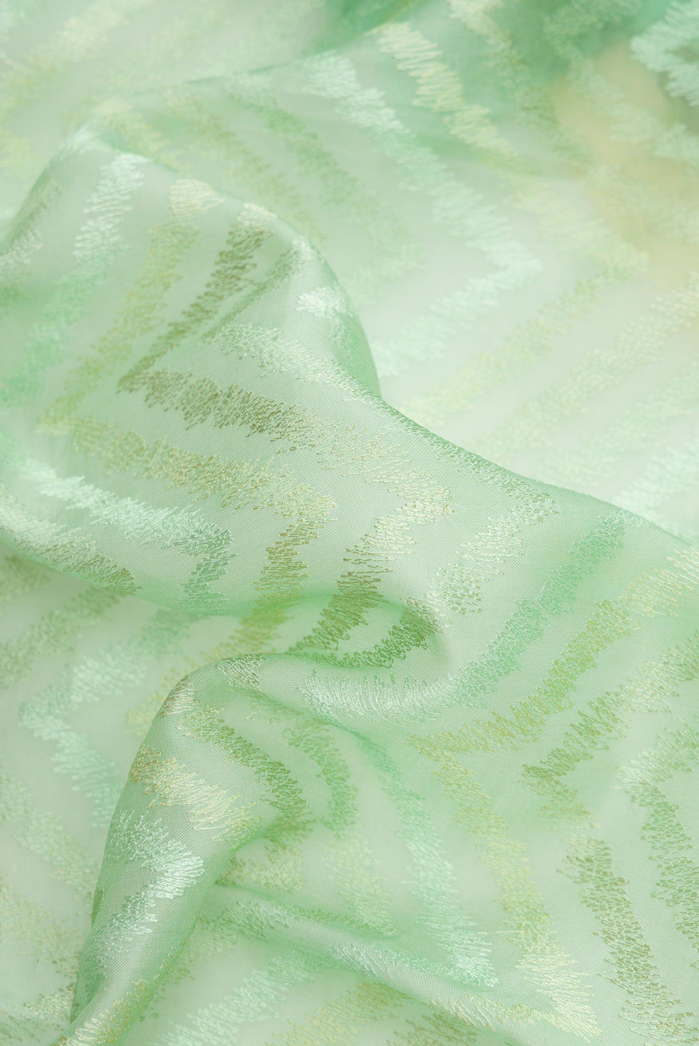 Close up of Pista Green Dual Tone Organza Silk Saree with Printed design on the body and Printed Border.  displaying folds