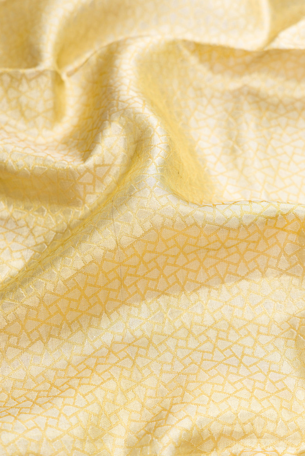 Close up of Gold Dual Tone Kanchipuram Tissue Silk Saree with Zari Brocade on the body and Zari Border.  displaying folds