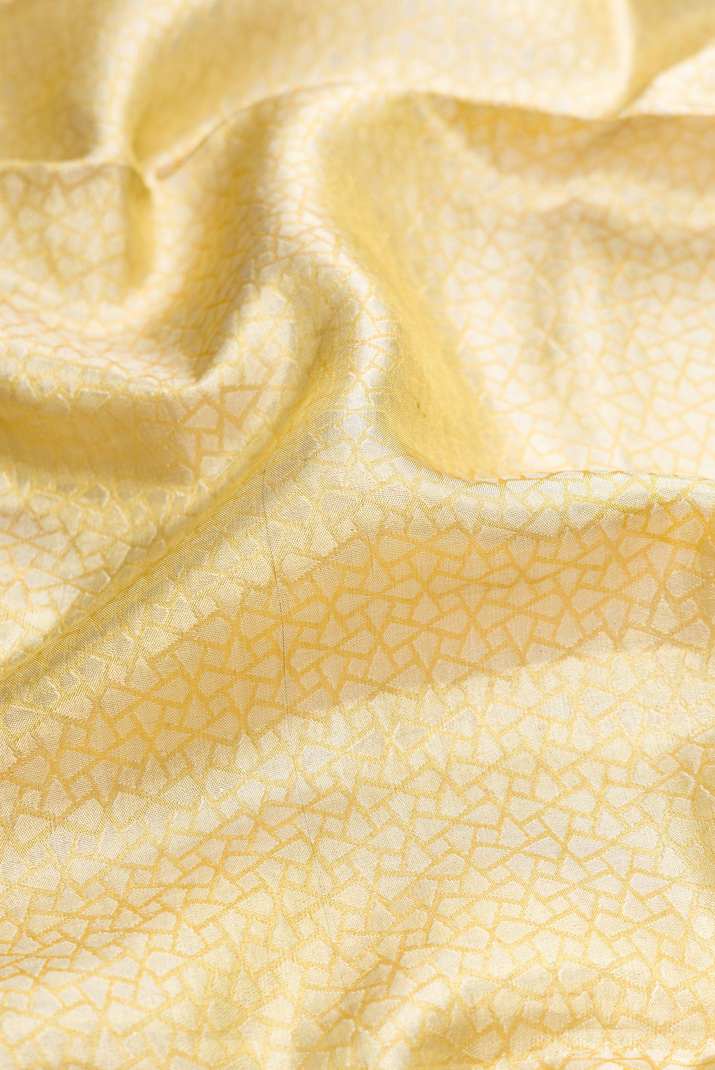 Close up of Gold Dual Tone Kanchipuram Tissue Silk Saree with Zari Brocade on the body and Zari Border.  displaying folds