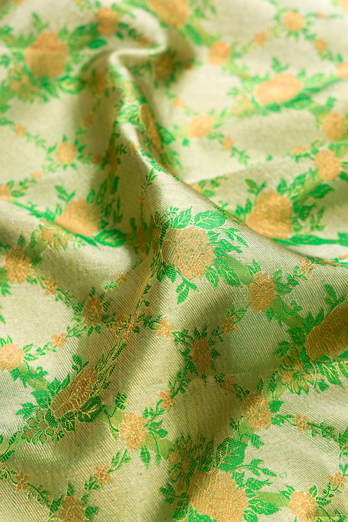 Close up of Green Dual Tone Kanjivaram Tissue Silk Saree with Zari Brocade on the body and Zari Border.  displaying folds