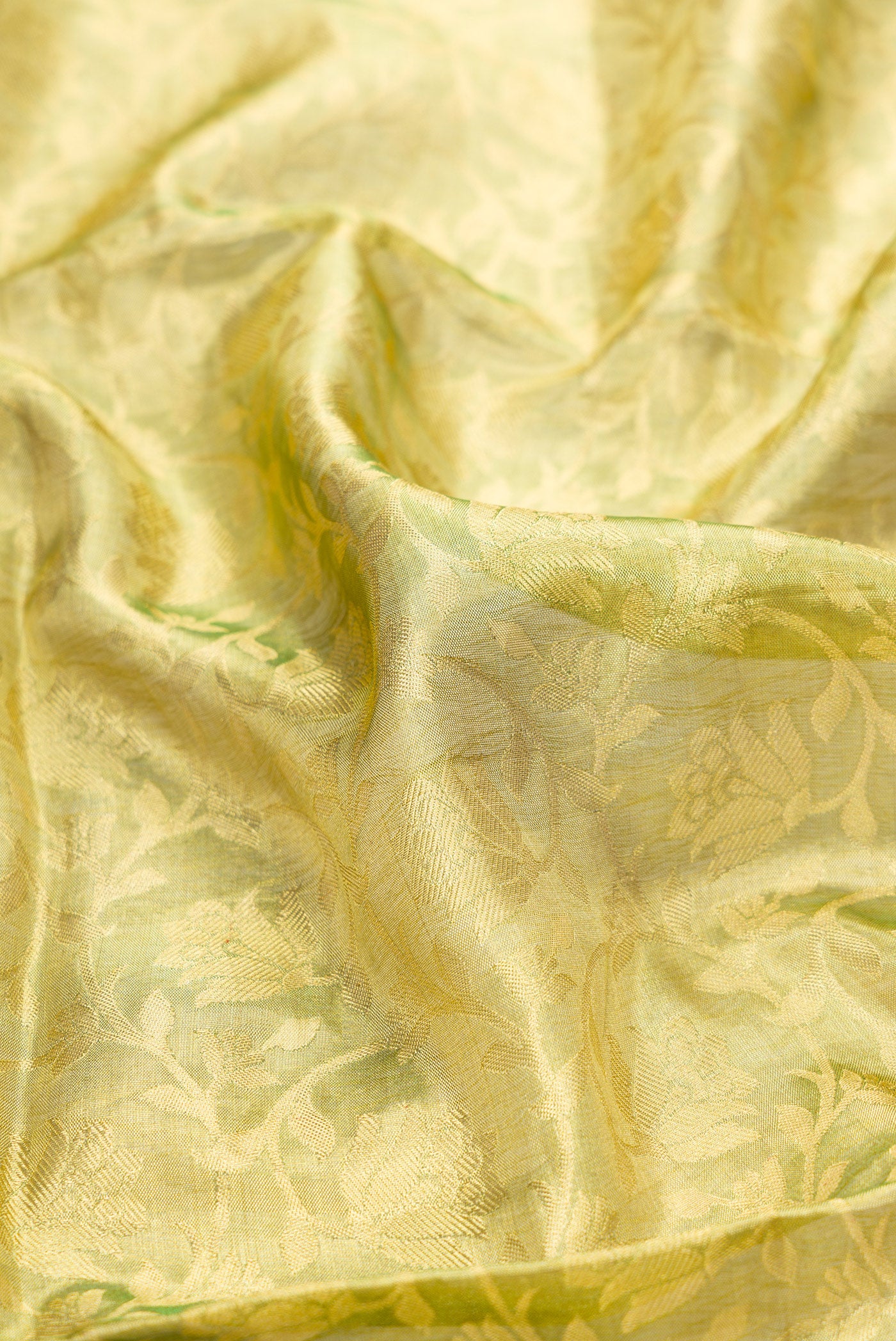 Close up of Green Dual Tone Kanjivaram Tissue Silk Saree with Zari Brocade on the body and Zari Border.  displaying folds