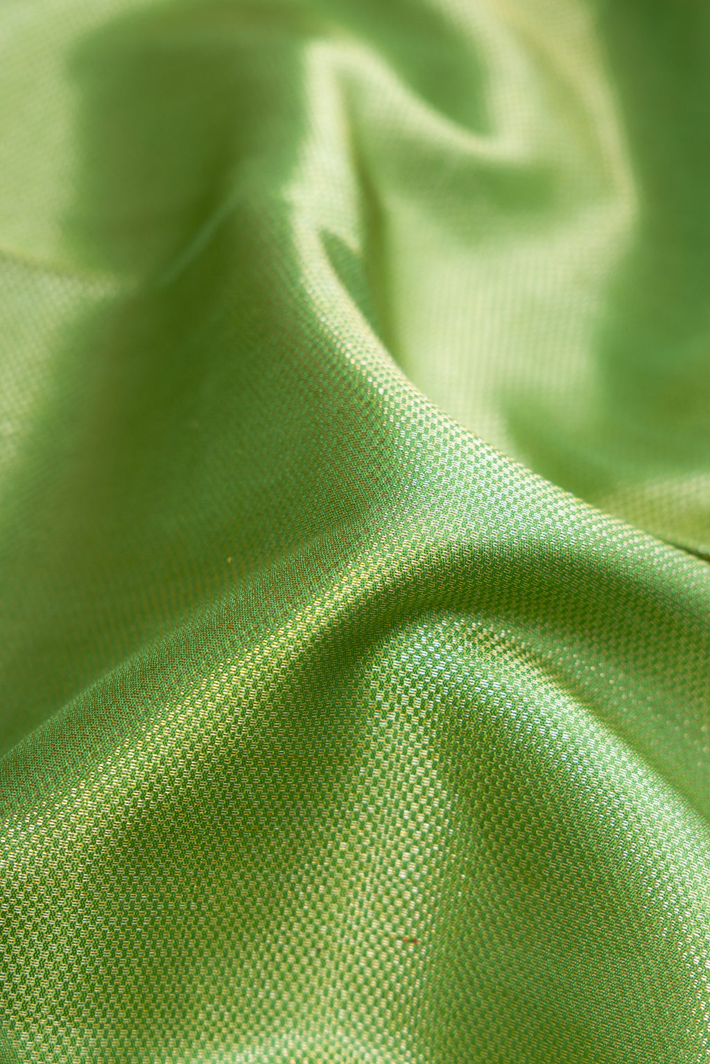 Close up of Pista Green Dual Tone Kanchipuram Silk Saree with Zari Brocade on the body and Zari Border.  displaying folds