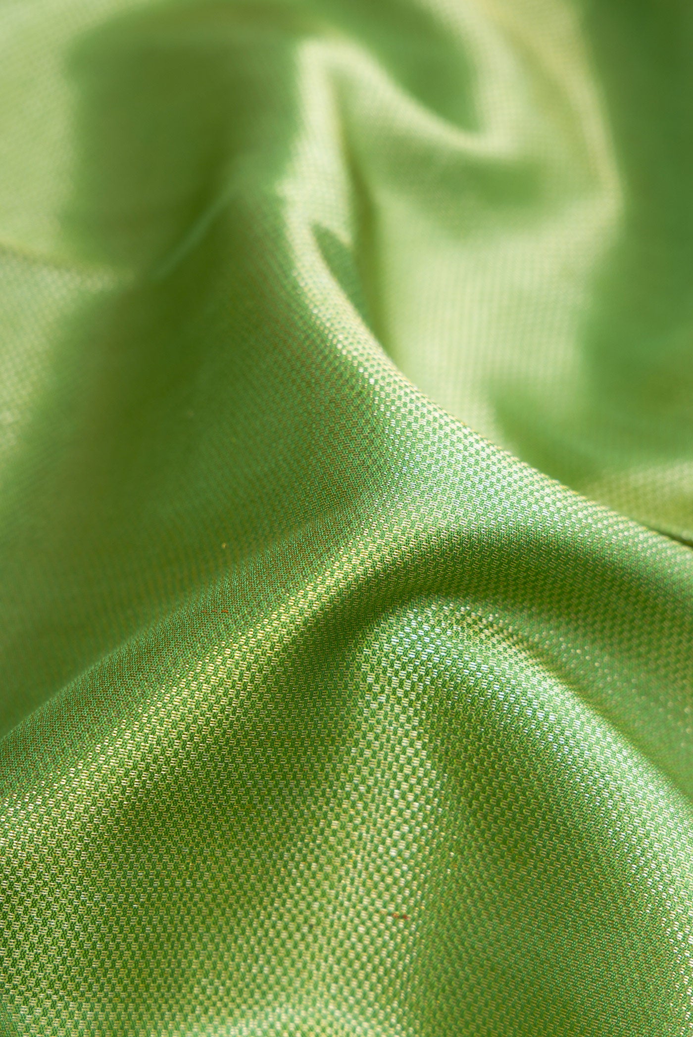 Close up of Pista Green Dual Tone Kanchipuram Silk Saree with Zari Brocade on the body and Zari Border.  displaying folds