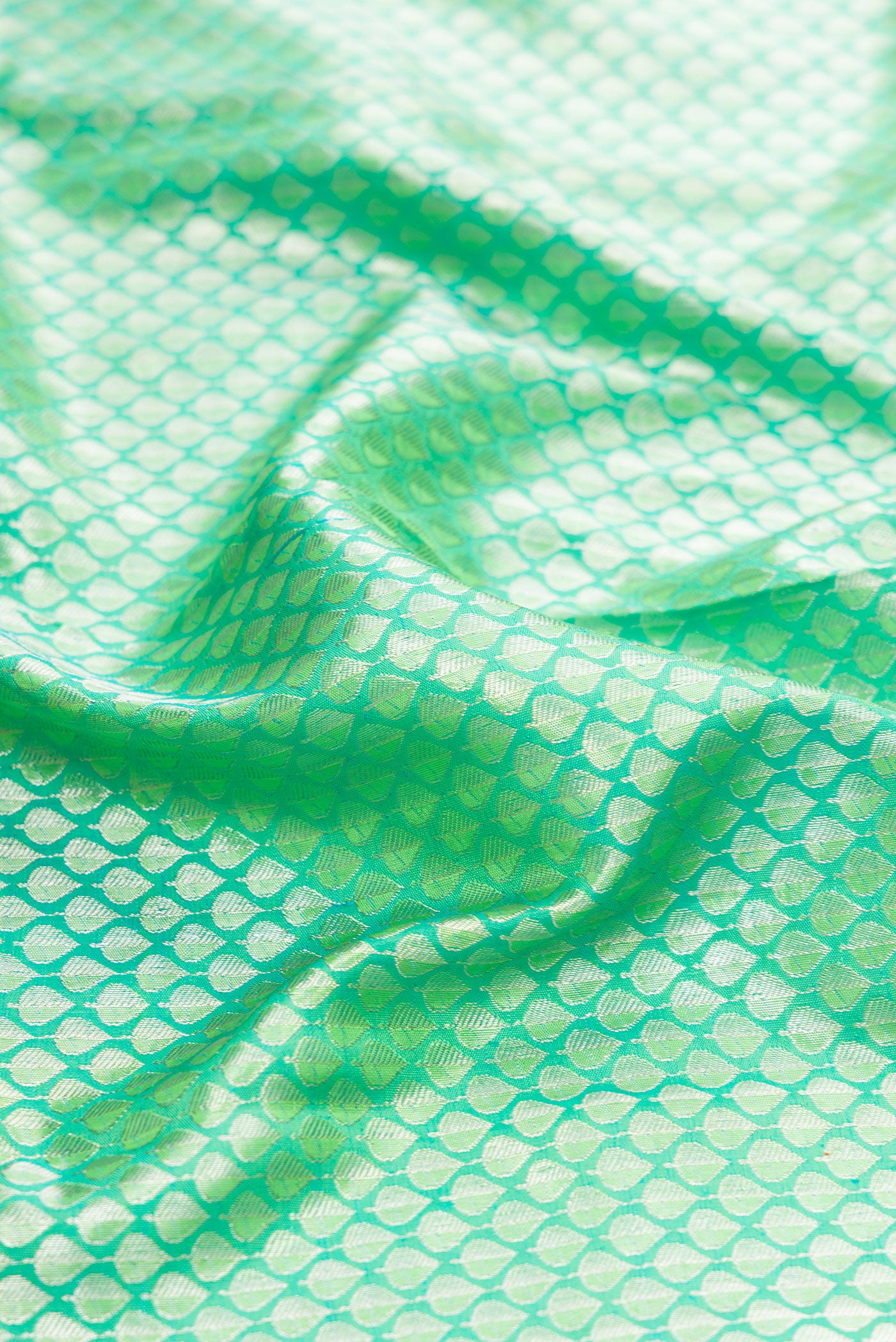 Close up of Sea Green Dual Tone Kanchipuram Silk Saree with Zari Brocade on the body and Zari Border.  displaying folds