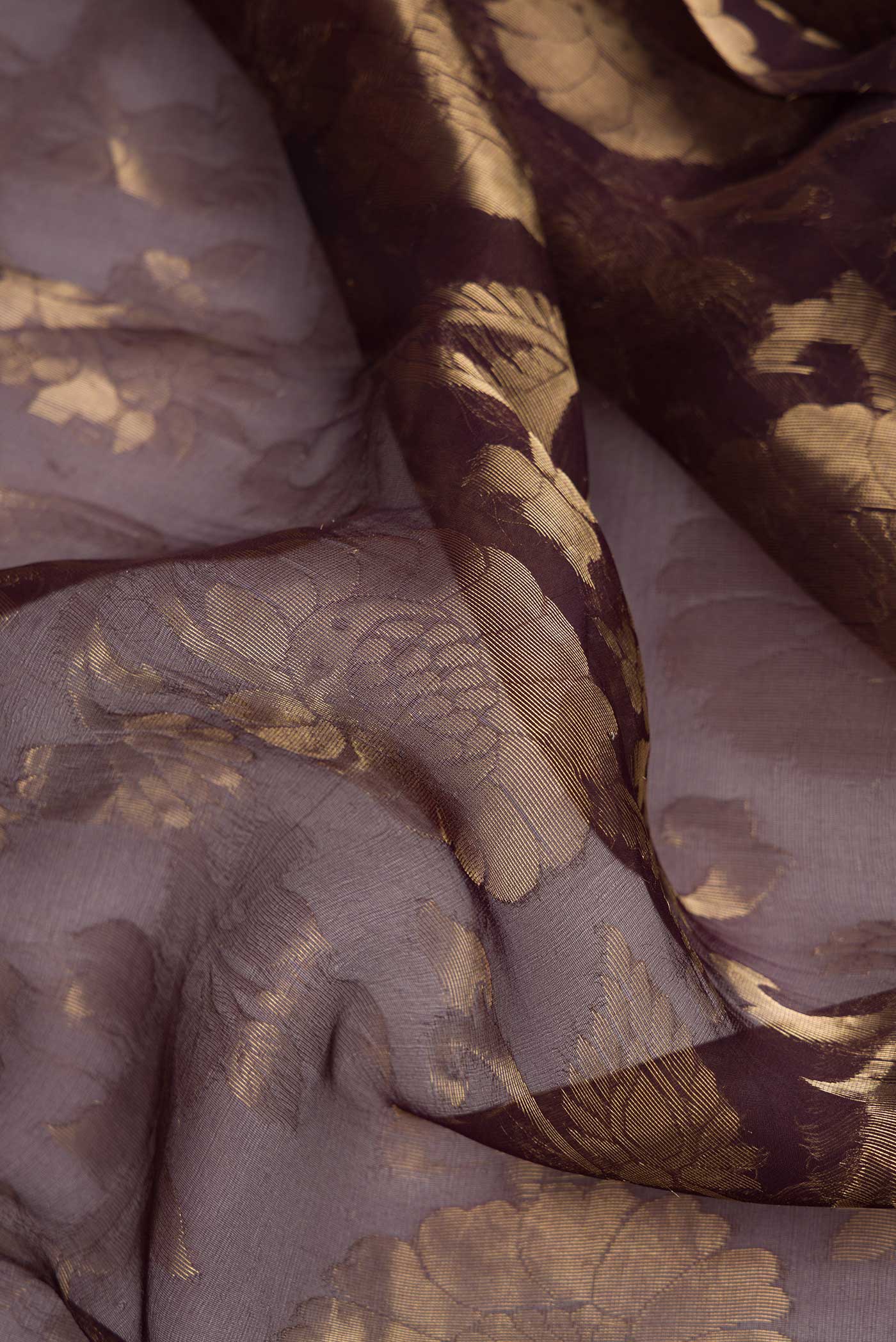 Close up of Coffee Brown Dual Tone Organza Silk Saree with Zari Brocade on the body and Zari Border.  displaying folds