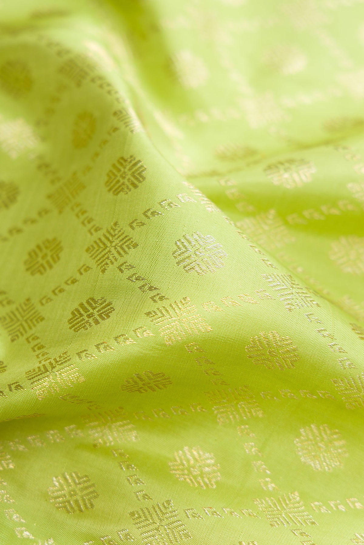 Close up of Light Green Dual Tone Kanchipuram Silk Saree with Zari Brocade on the body and Zari And Thread Border.  displaying folds