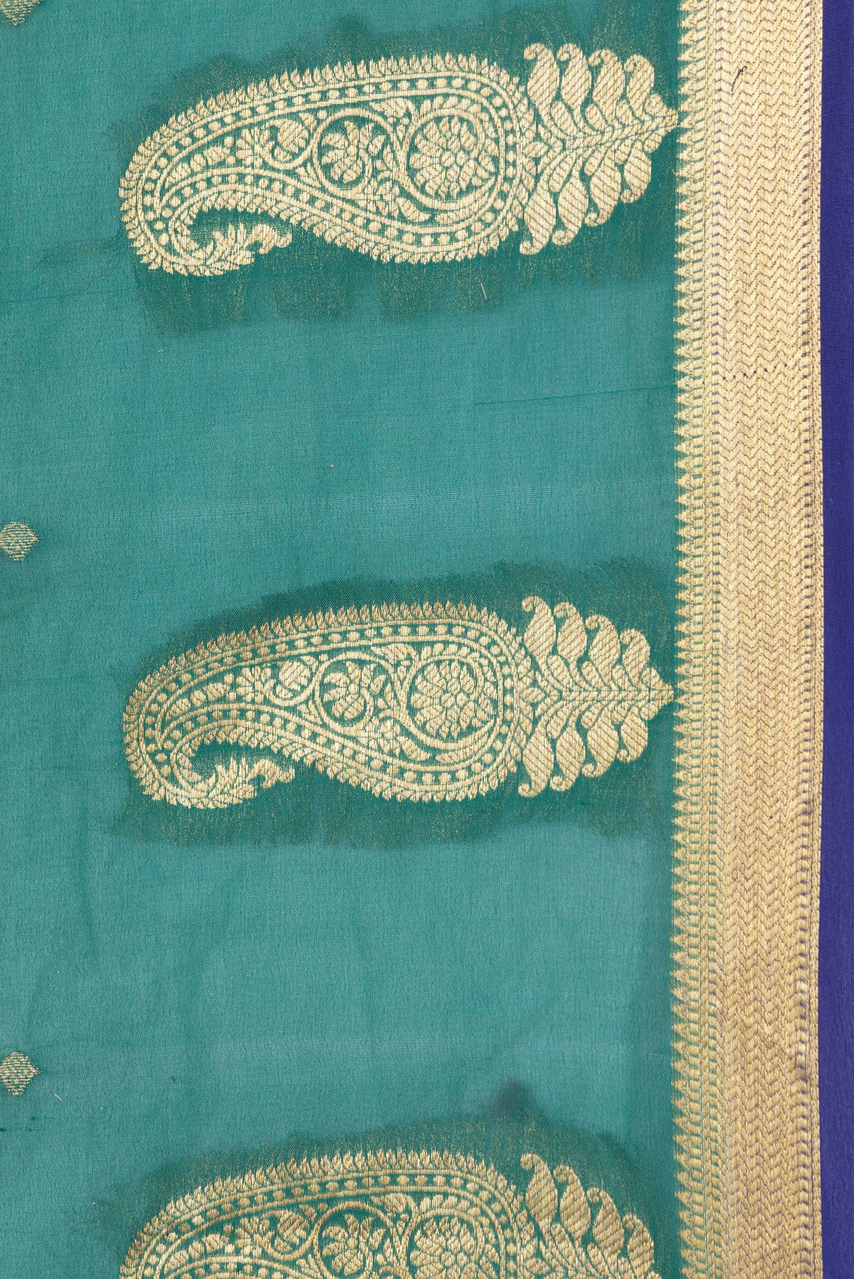 Border image of Green Dual Tone Mysore Georgette Saree with Zari Butta on the body and Fancy Border. 