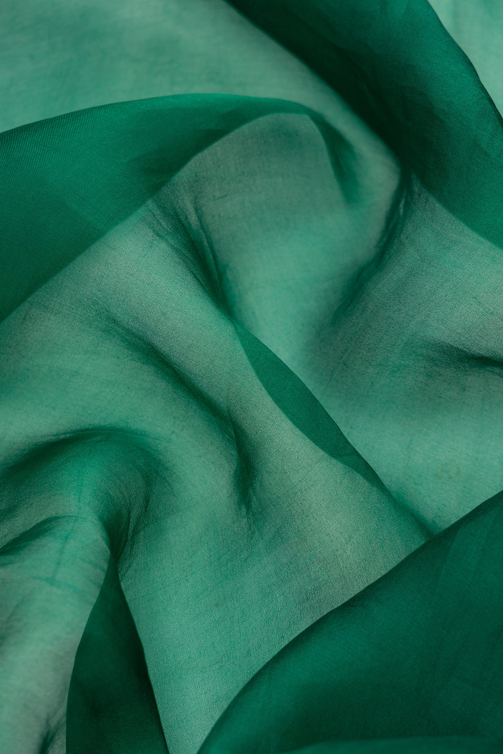 Close up of Bottle Green Dual Tone Organza Silk Saree with Plain Body and Embroidery Border.  displaying folds