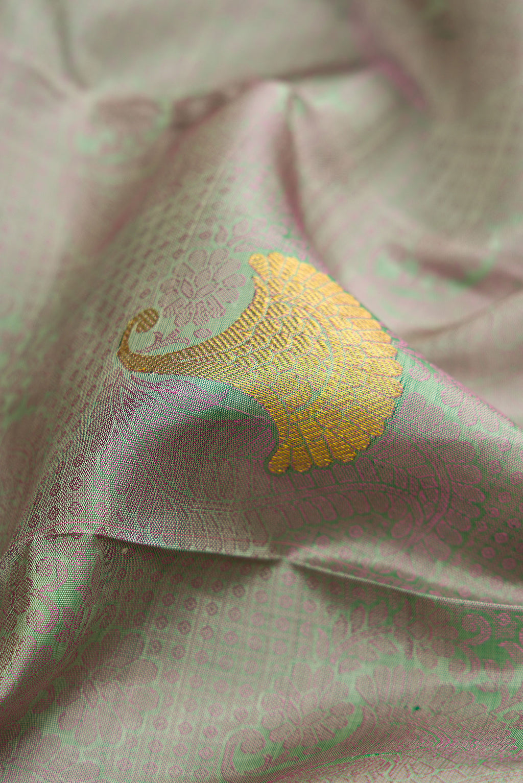 Close up of Pista Green Dual Tone Kanjivaram Silk Saree with Jacquard With Zari Butta on the body and Zari Border.  displaying folds