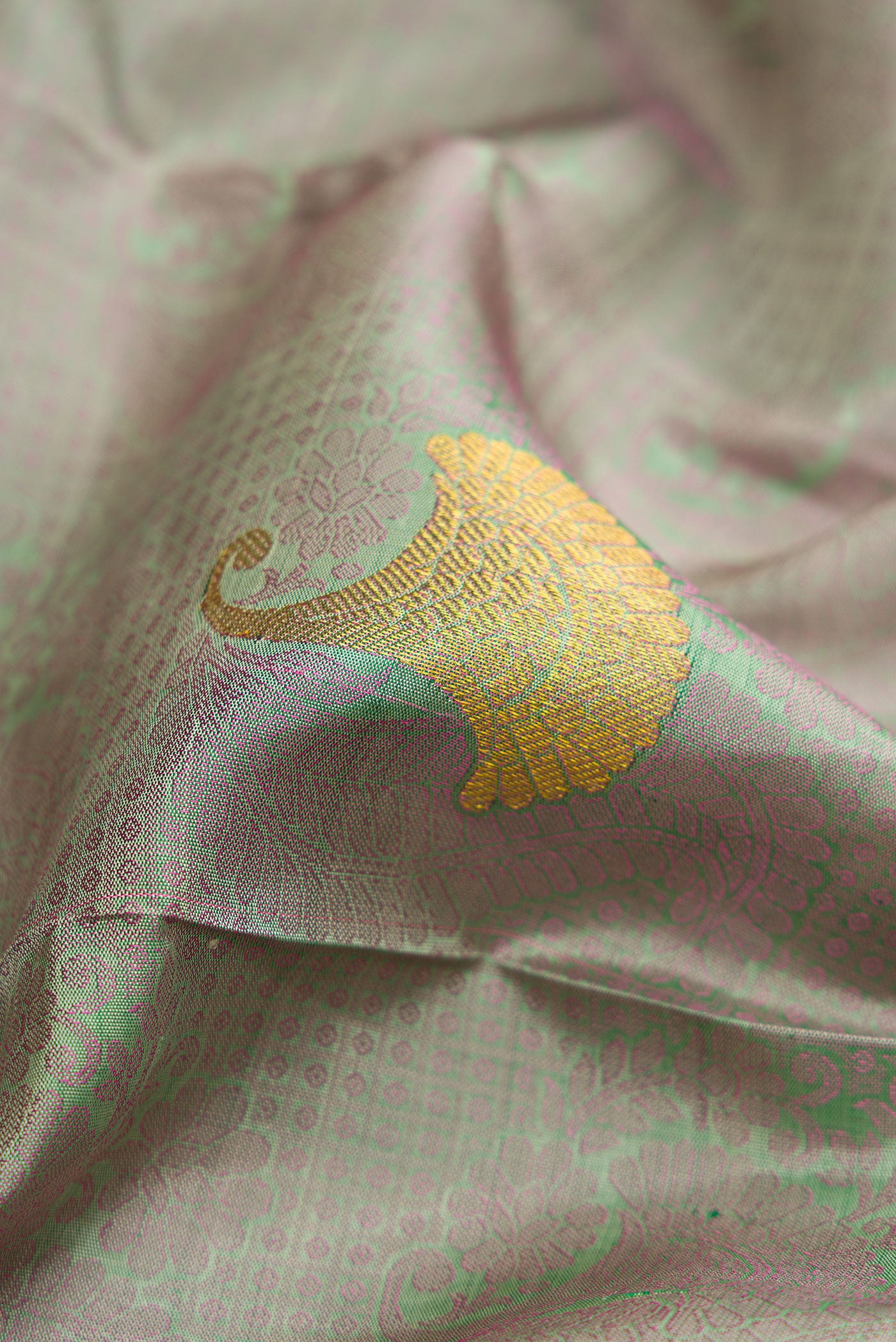 Close up of Pista Green Dual Tone Kanjivaram Silk Saree with Jacquard With Zari Butta on the body and Zari Border.  displaying folds