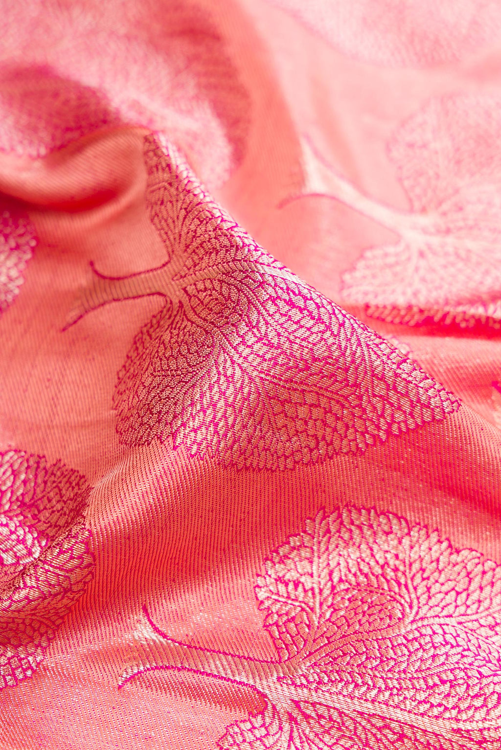 Close up of Pink Kanchipuram Silk Saree with Zari Brocade on the body and Zari Border.  displaying folds