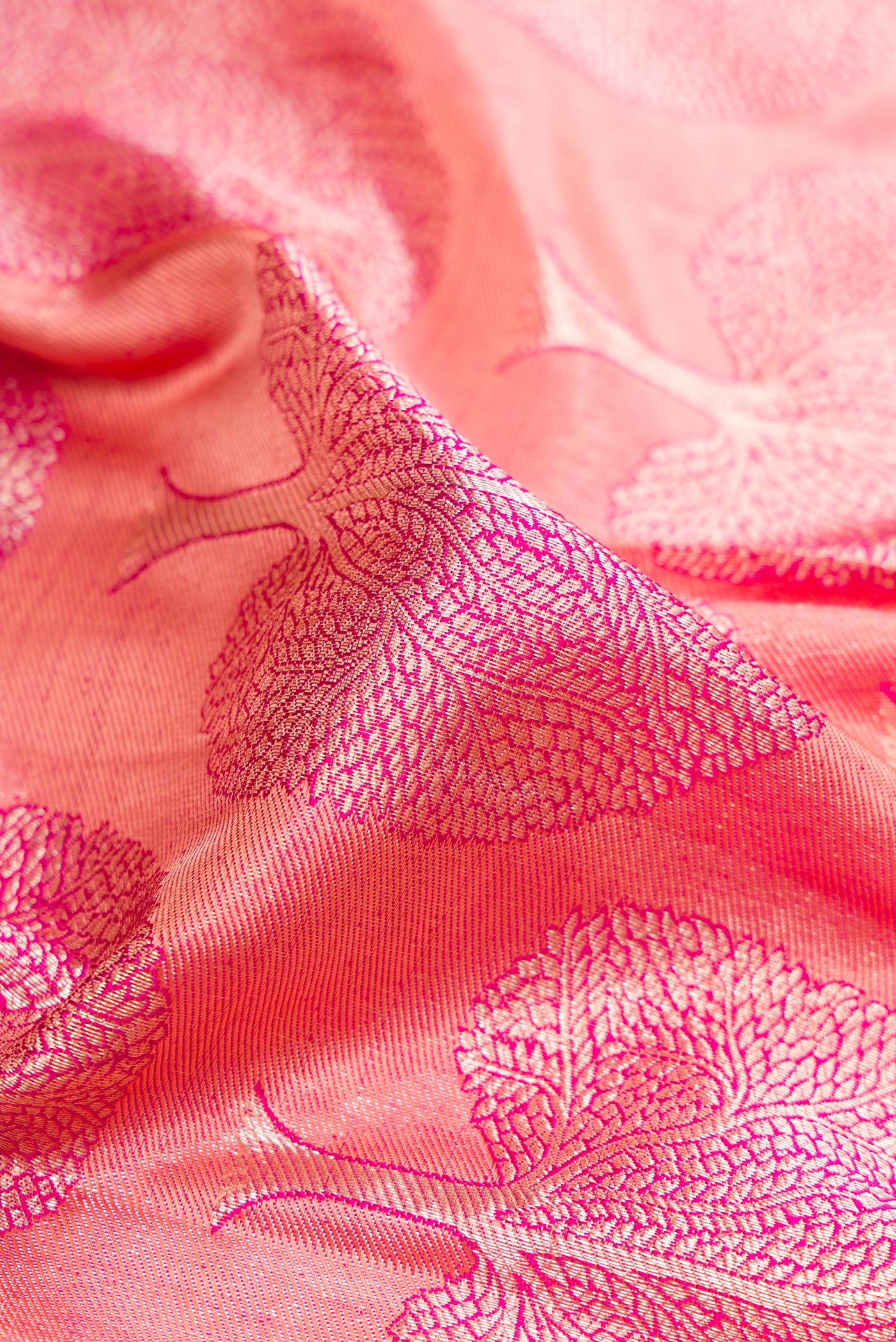 Close up of Pink Kanchipuram Silk Saree with Zari Brocade on the body and Zari Border.  displaying folds
