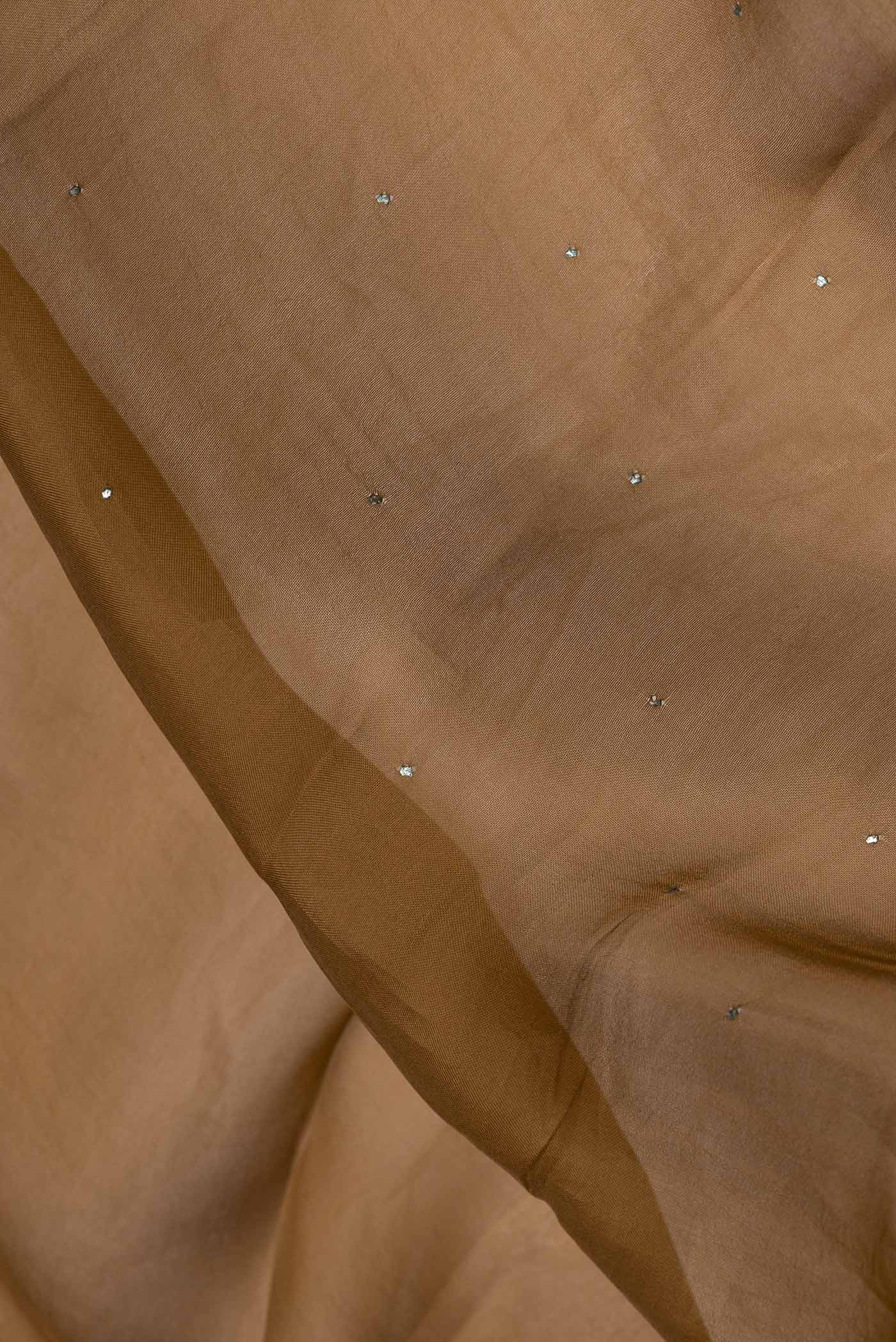 Close up of Bronze Dual Tone Organza Silk Saree with Embroidery on the body and Embroidery Border.  displaying folds