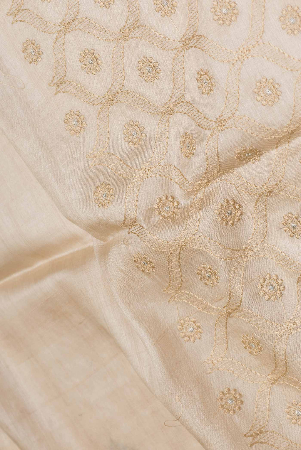 Close up of Beige Dual Tone Tussar Saree with Embroidery on the body and Embroidery Border displaying folds