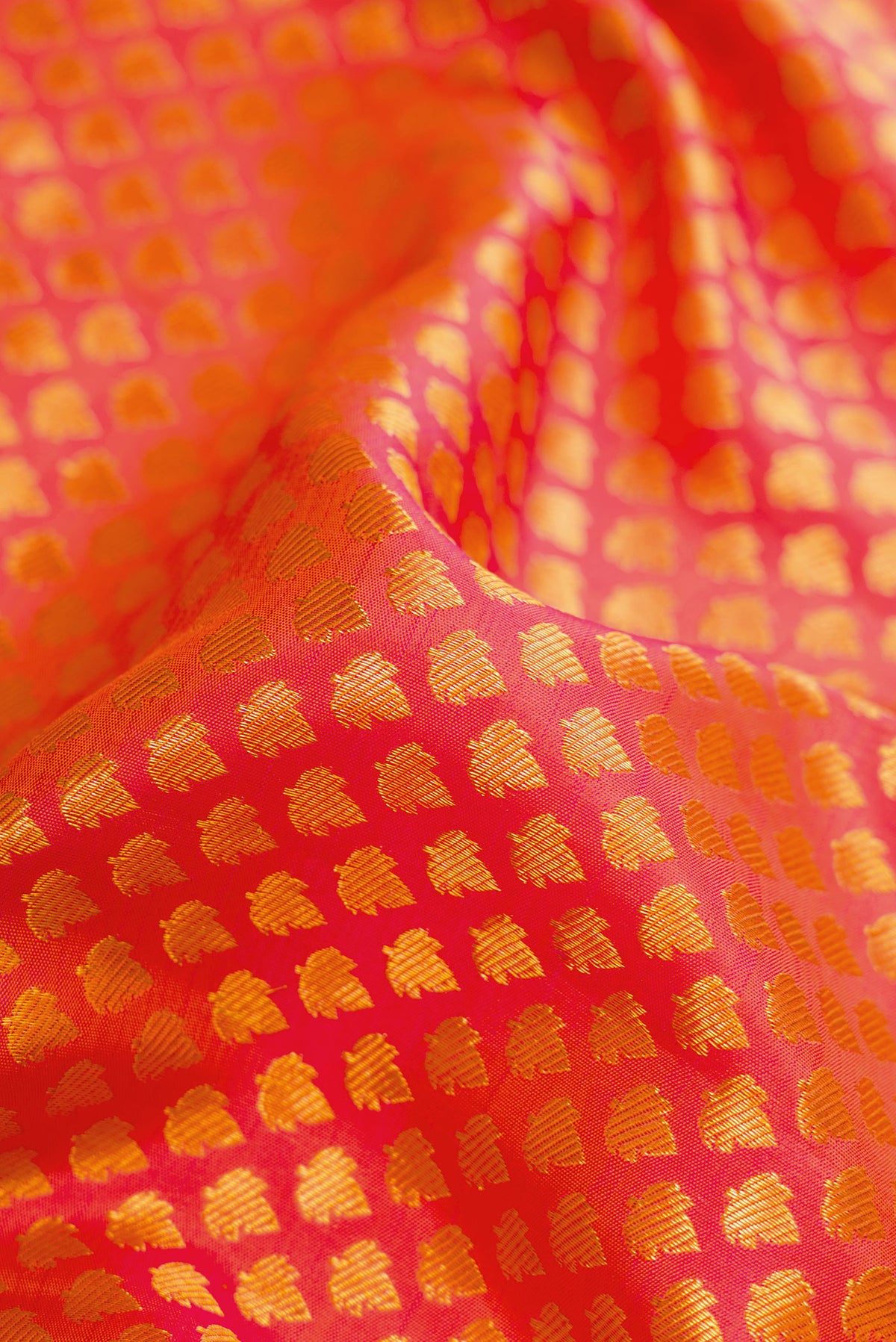 Close up of Orange Kanjivaram Silk Saree with Zari Brocade on the body and Zari Border.  displaying folds