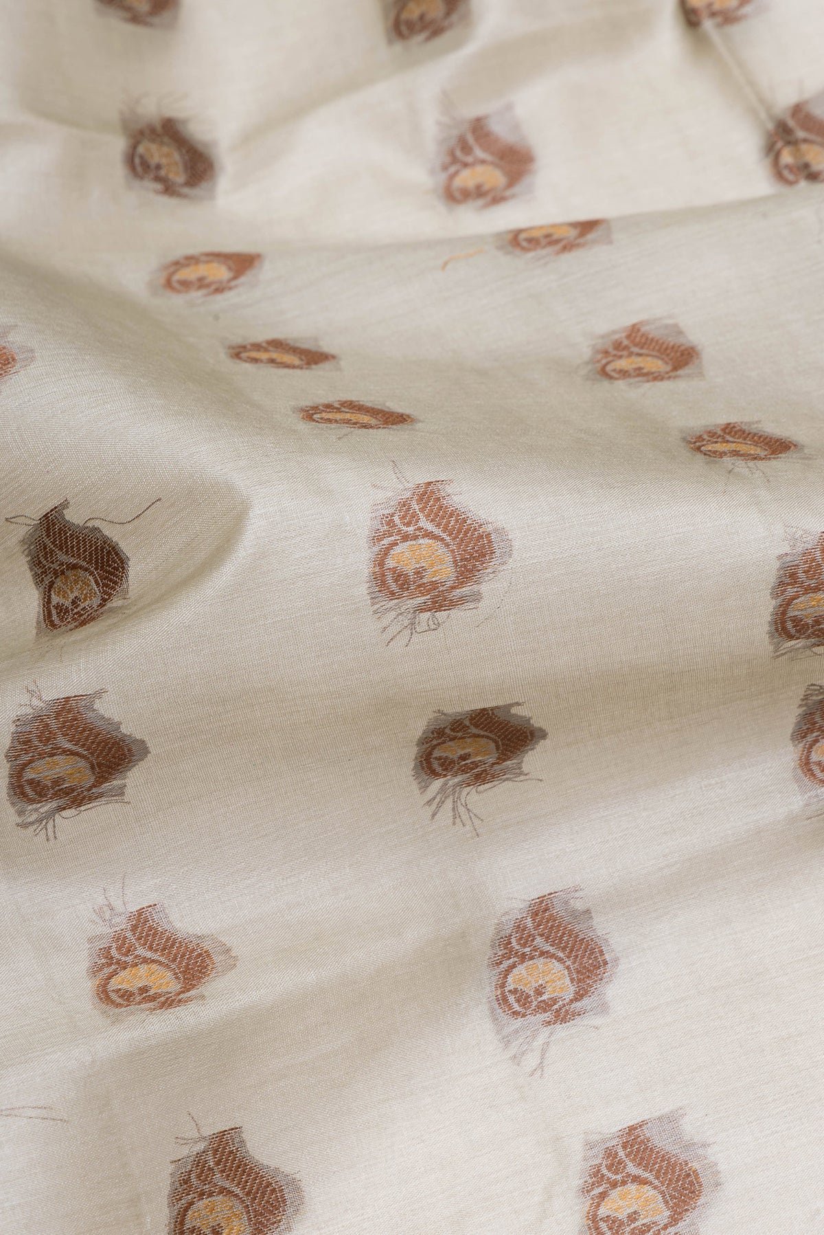 Close up of Beige Tussar Silk Saree with Thread Butta on the body and Fancy Border.  displaying folds