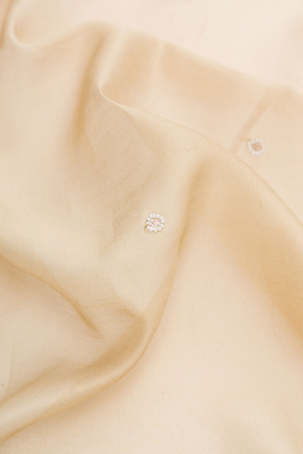 Close up of Beige Dual Tone Tussar Silk Saree with Embroidery on the body and Embroidery Border.  displaying folds