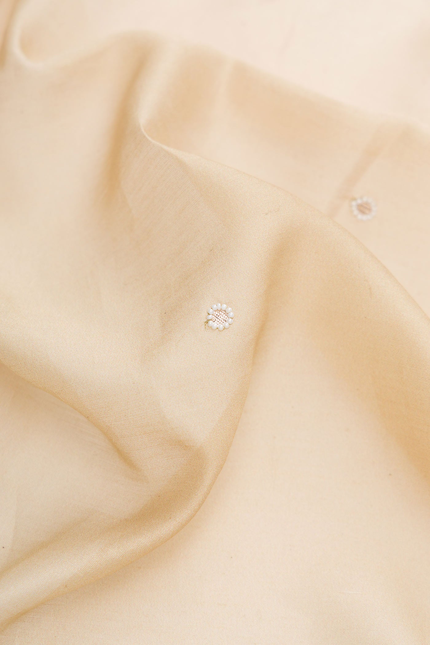Close up of Beige Dual Tone Tussar Silk Saree with Embroidery on the body and Embroidery Border.  displaying folds