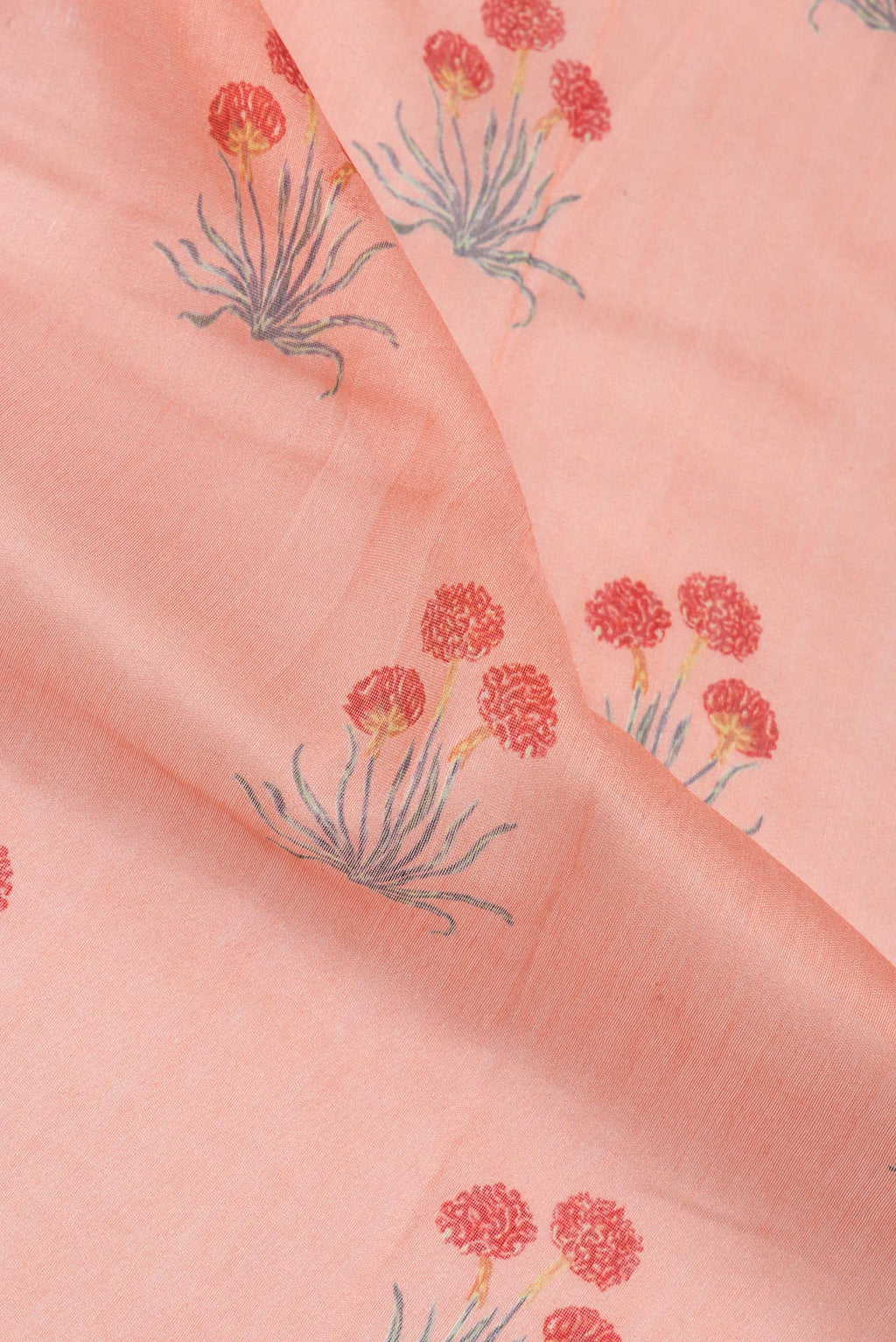 Close up of Pure Silk Peach Dual Tone Chanderi Saree with Printed design on the body and Zari Border.  displaying folds