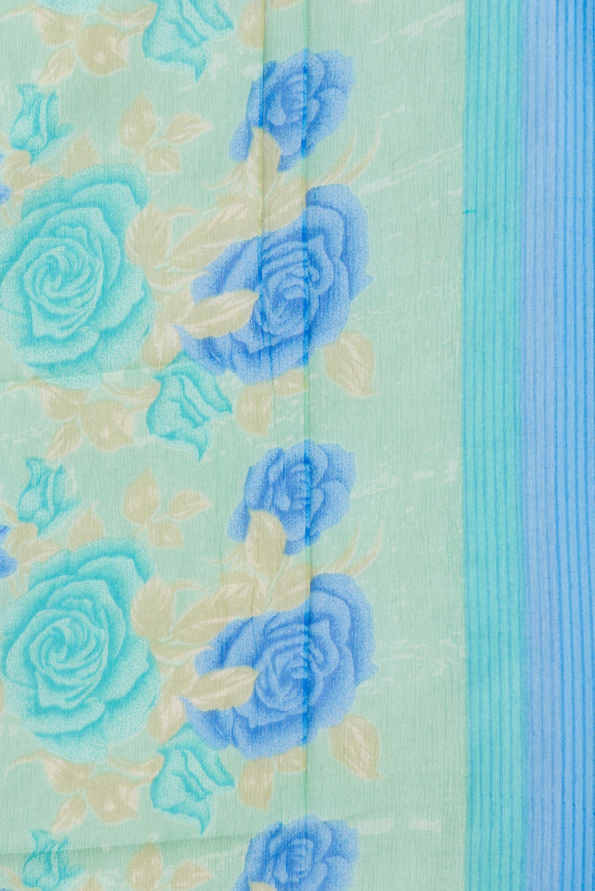 Border image of Sea Green Dual Tone Mysore Chiffon Saree with Printed design on the body and Plain Border. 