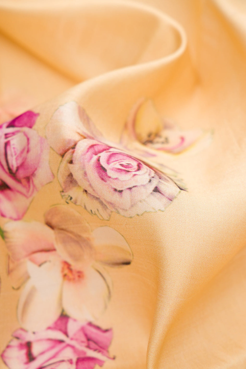 Close up of Sandal Dual Tone Tussar Silk Saree with Printed design on the body and Zari Border.  displaying folds