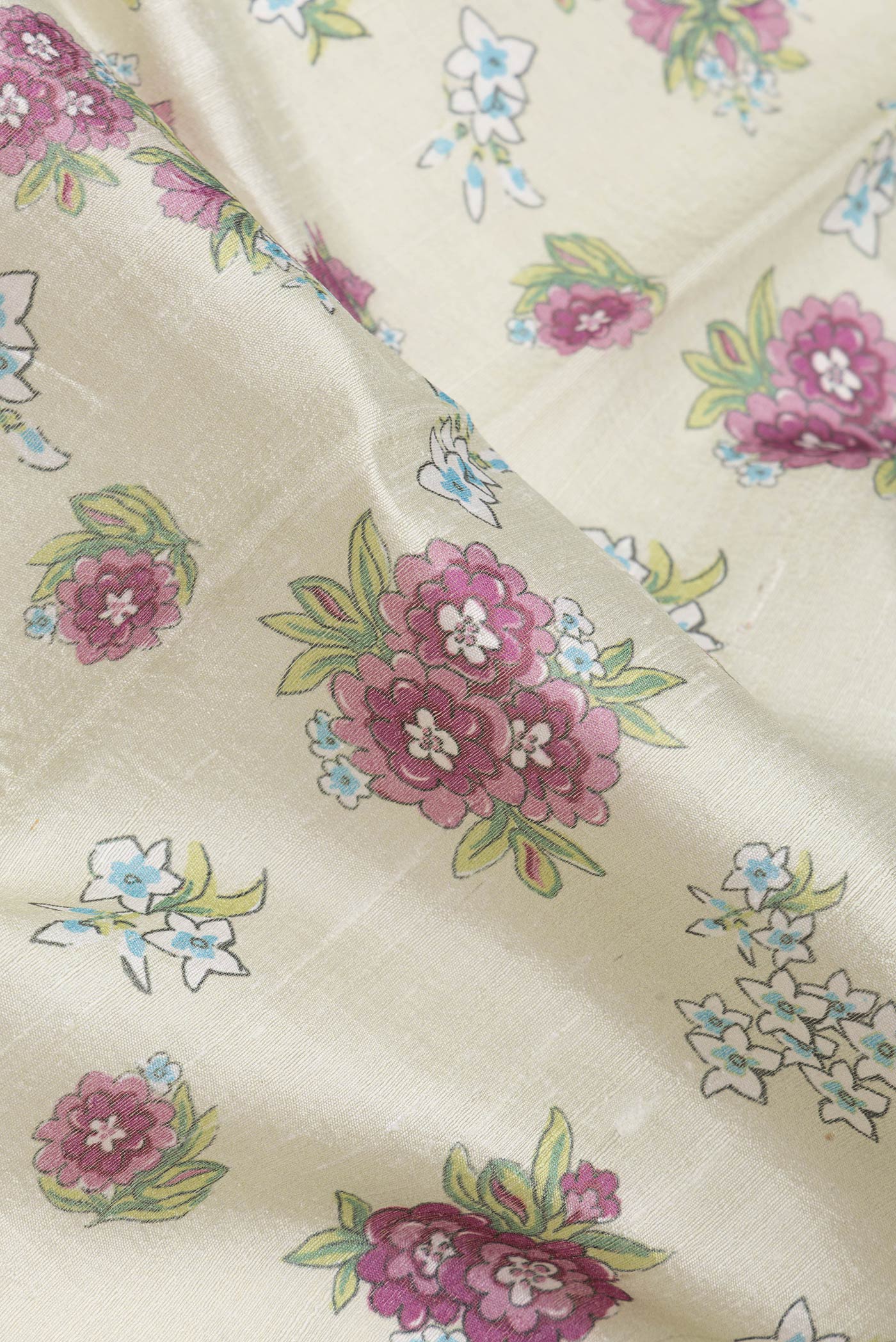 Close up of Pista Green Dual Tone Tussar Silk Saree with Printed design on the body and Zari Border.  displaying folds