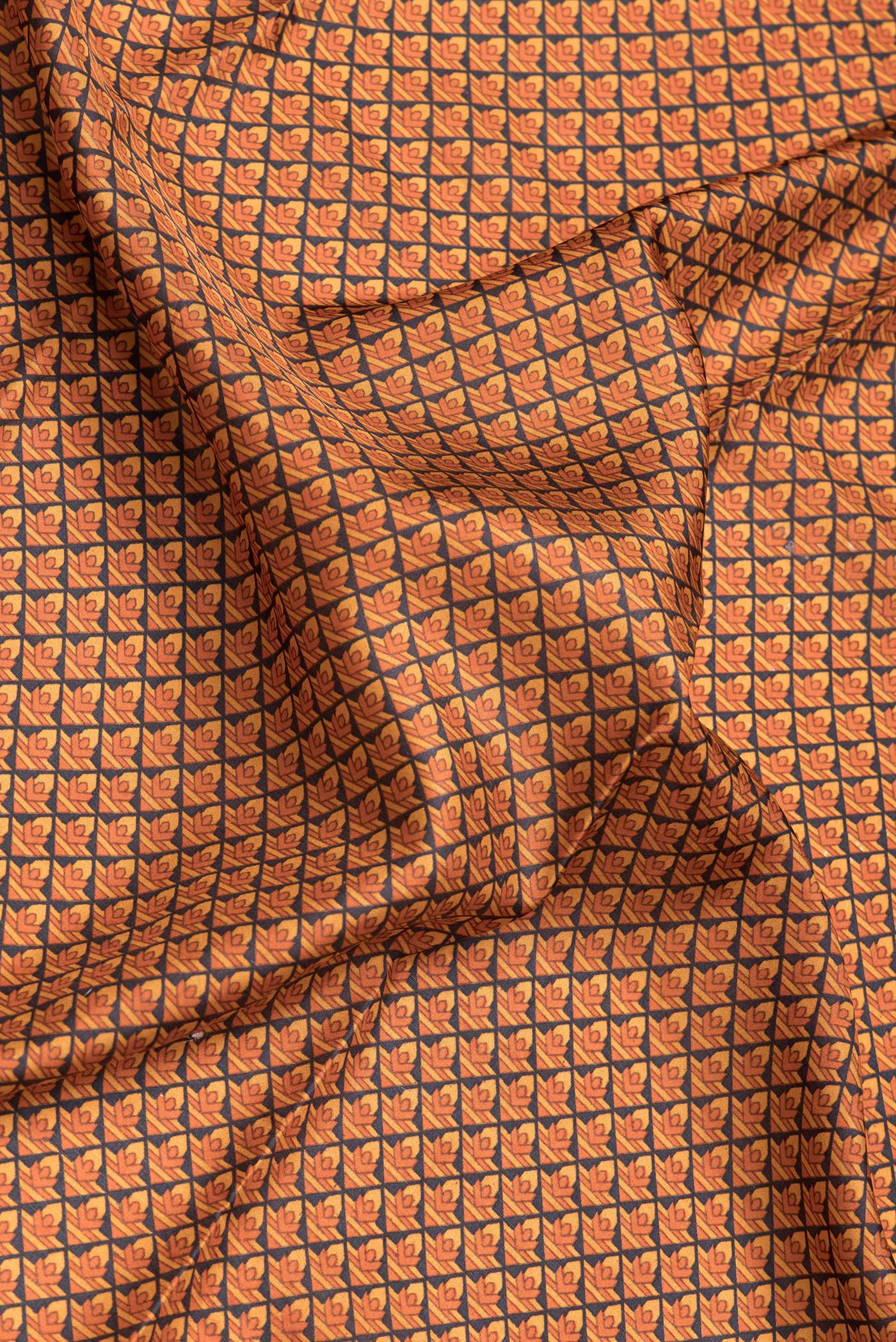 Close up of Black Dual Tone Printed Silk Saree with Printed design on the body and Printed Border.  displaying folds