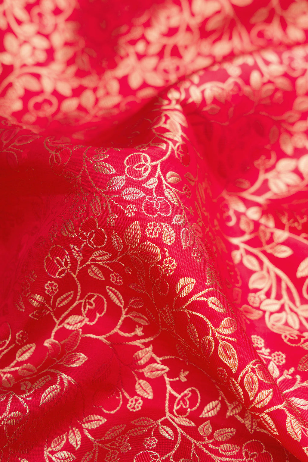 Close up of Red Dual Tone Kanchipuram Silk Saree with Zari Brocade on the body and Zari Border.  displaying folds