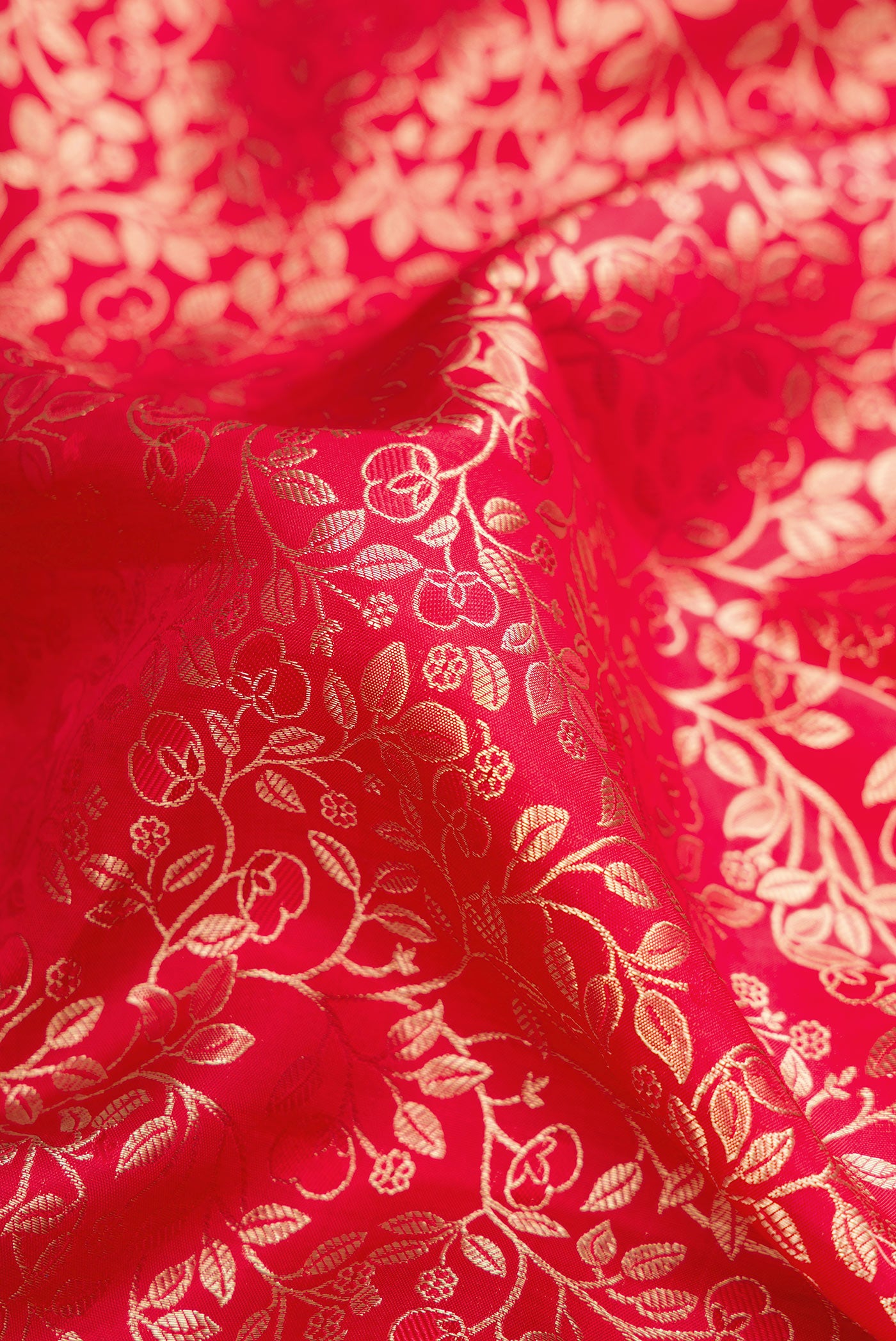 Close up of Red Dual Tone Kanchipuram Silk Saree with Zari Brocade on the body and Zari Border.  displaying folds