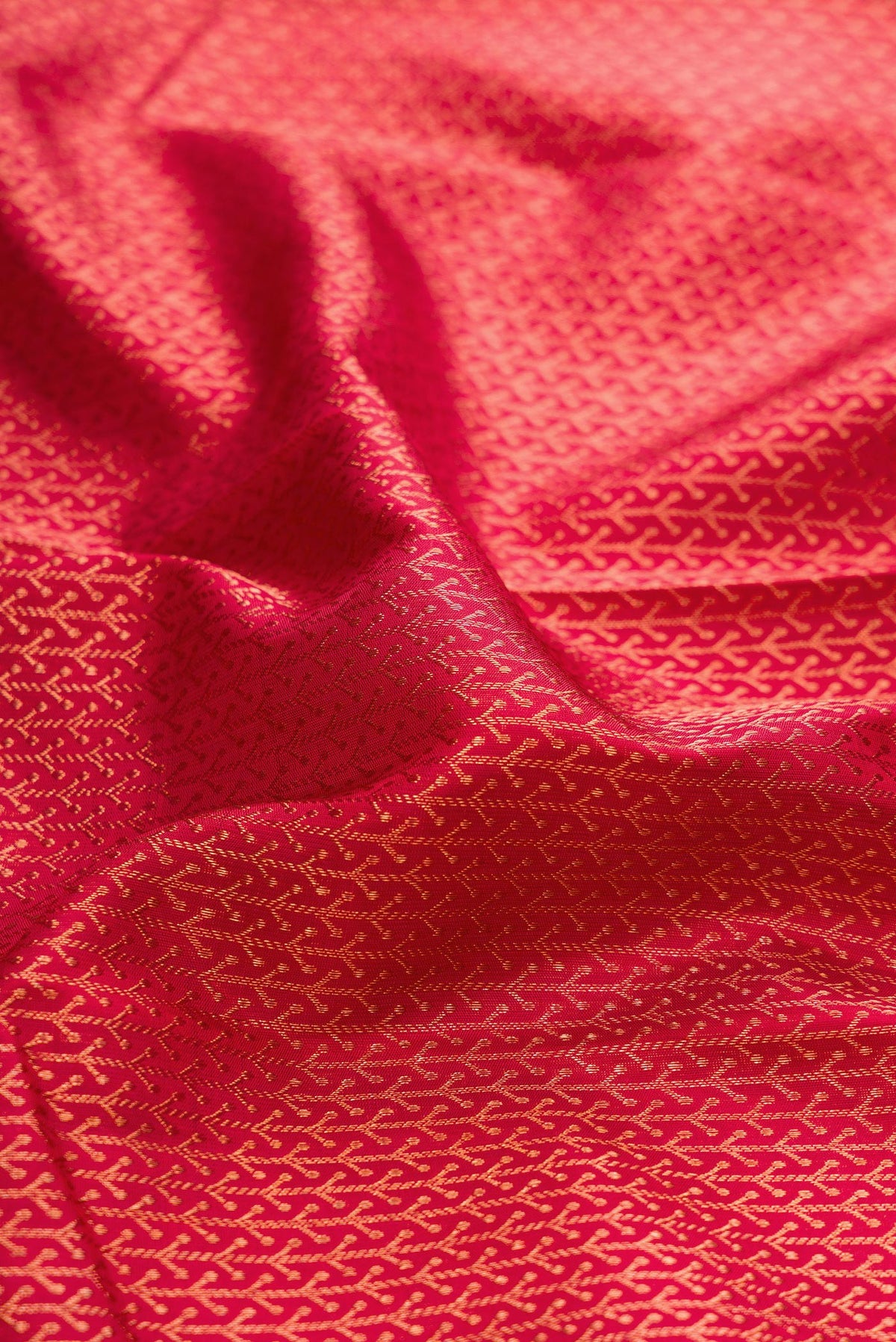 Close up of Red Kanjivaram Silk Saree with Zari Brocade on the body and Fancy Border.  displaying folds
