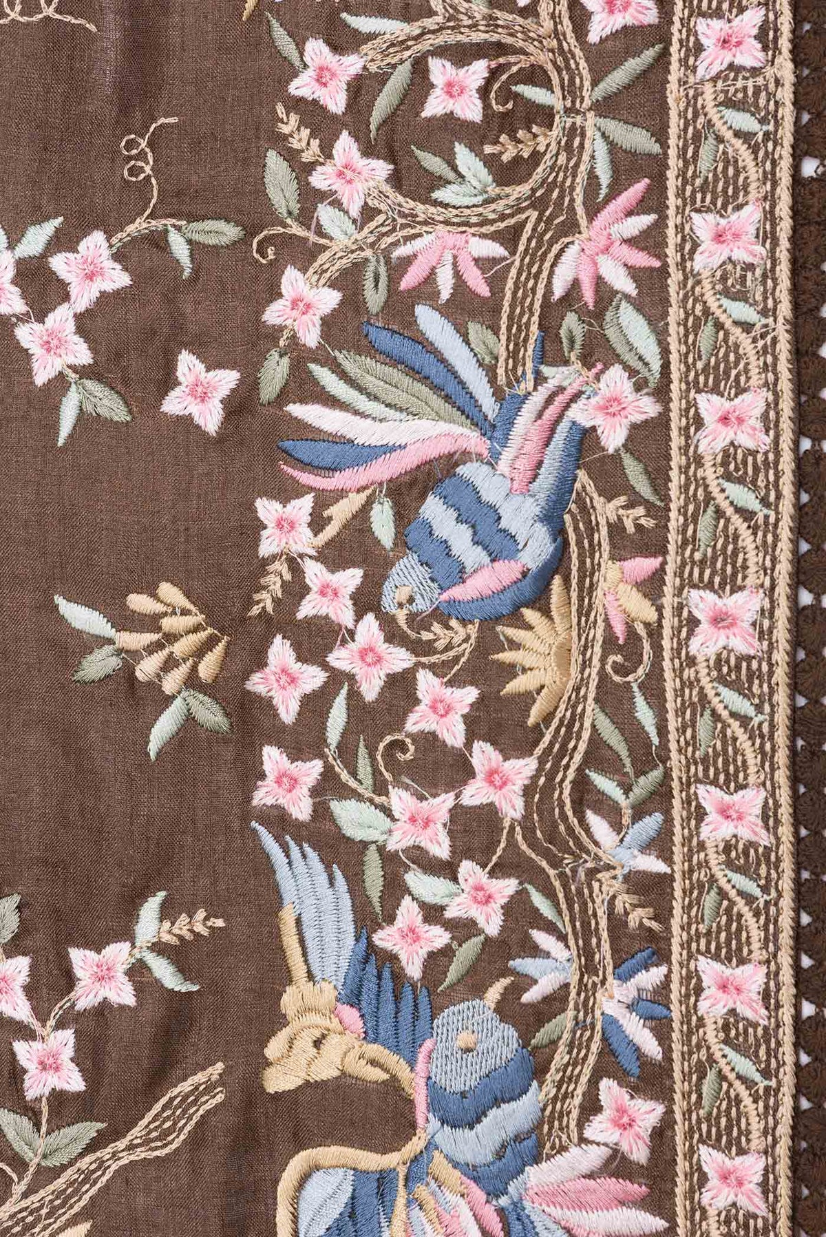 Border image of Brown Dual Tone Tussar Saree with Embroidery on the body and Embroidery Border