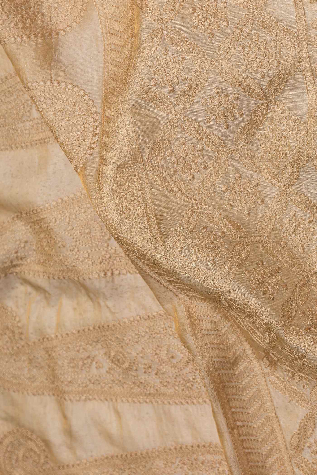 Close up of Beige Tussar Silk Saree with Embroidery on the body and Embroidery Border displaying folds