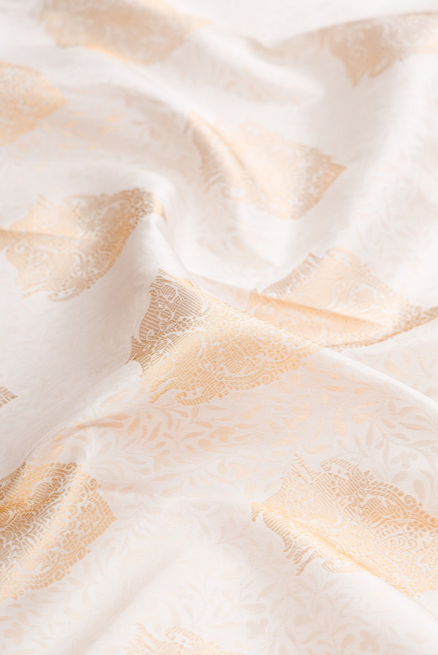 Close up of White Dual Tone Kanjivaram Silk Saree with Zari Brocade on the body and Zari Border.  displaying folds