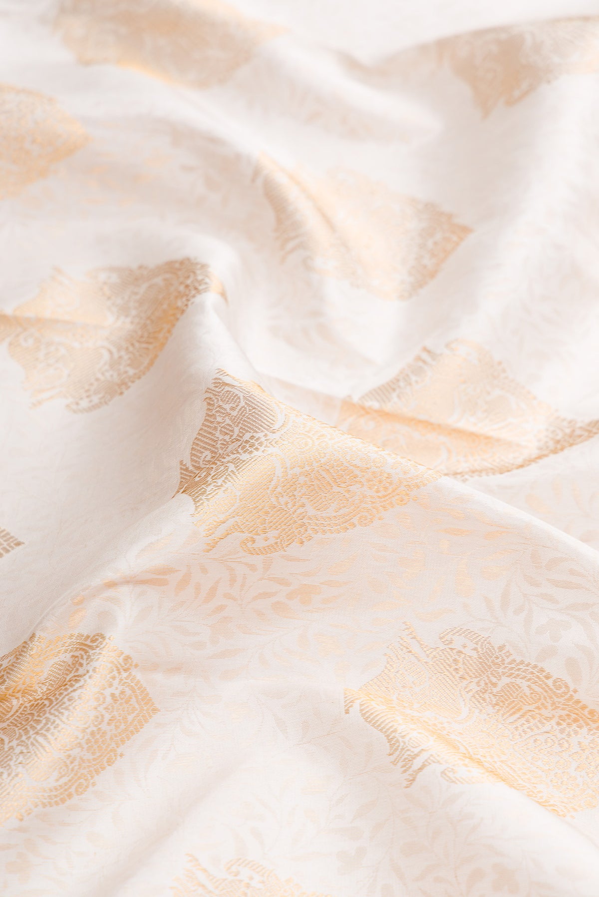 Close up of White Dual Tone Kanjivaram Silk Saree with Zari Brocade on the body and Zari Border.  displaying folds