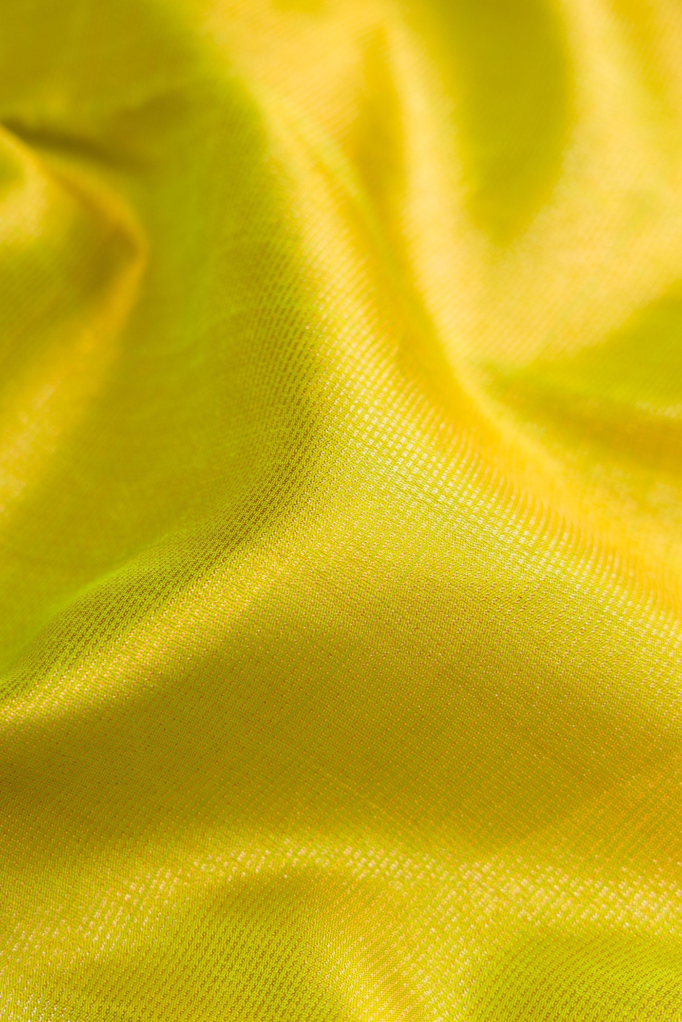 Close up of Parrot Green Dual Tone Kanjivaram Silk Saree with Zari Brocade on the body and Zari Border.  displaying folds