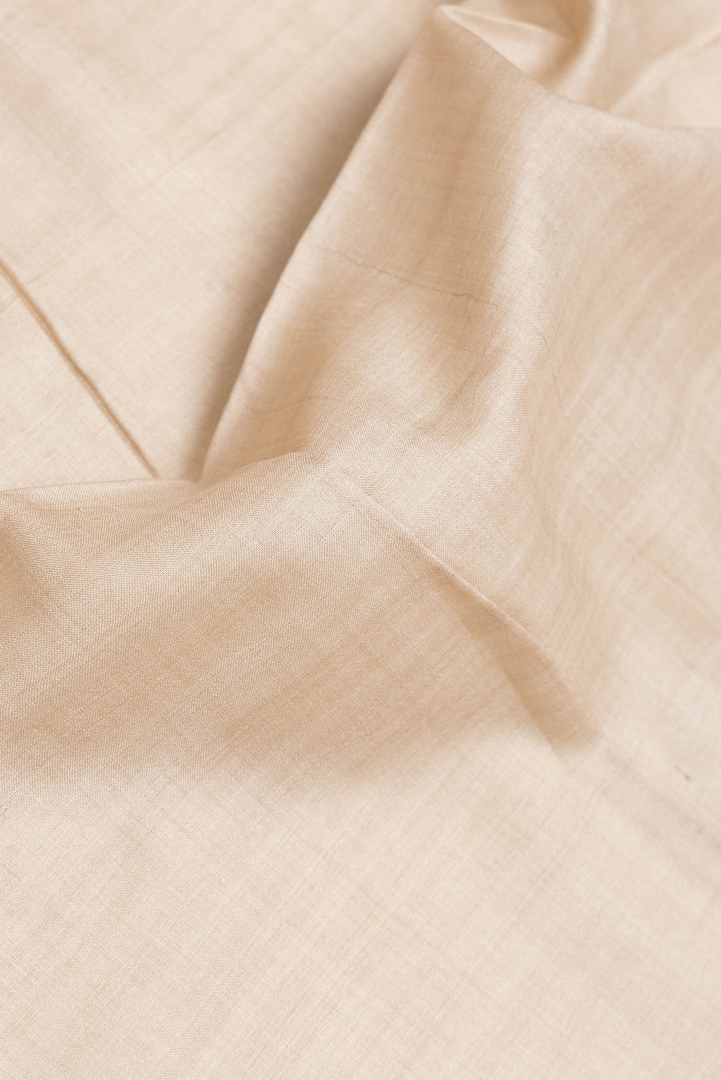 Close up of Beige Dual Tone Tussar Silk Saree with Plain Body and Embroidery Border.  displaying folds