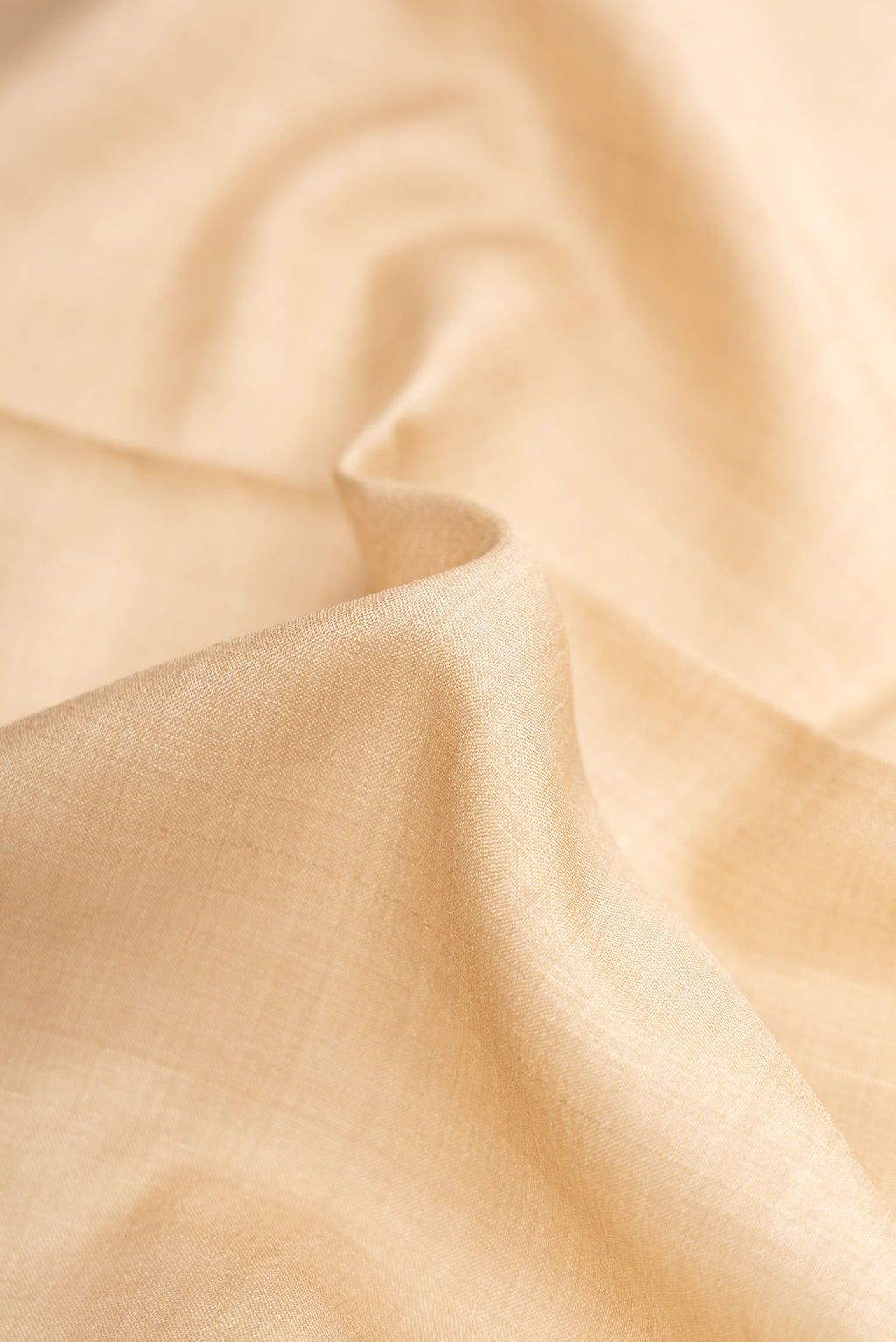 Close up of Beige Dual Tone Tussar Silk Saree with Plain Body and Printed Border.  displaying folds