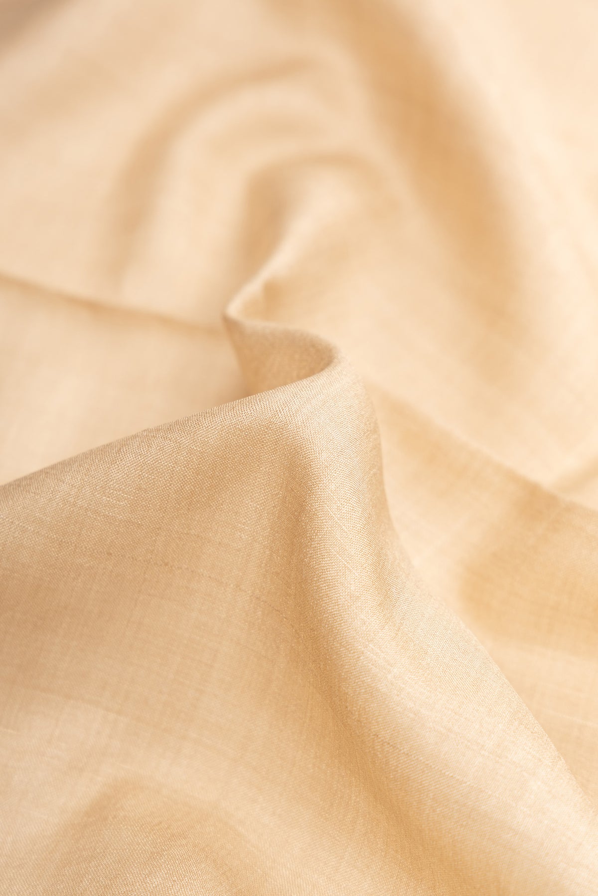 Close up of Beige Dual Tone Tussar Silk Saree with Plain Body and Printed Border.  displaying folds