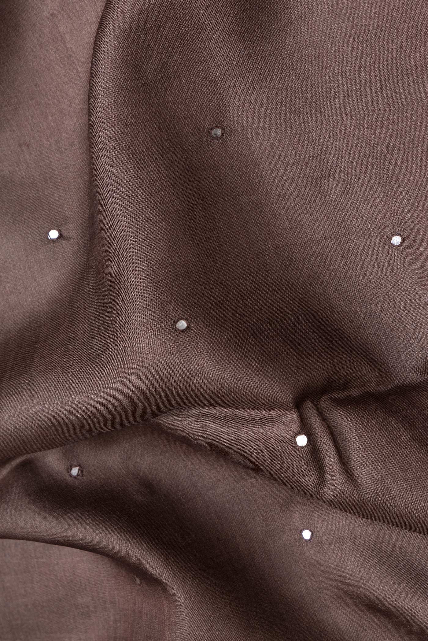 Close up of Brown Dual Tone Tussar Silk Saree with Embroidery on the body and Printed Border.  displaying folds
