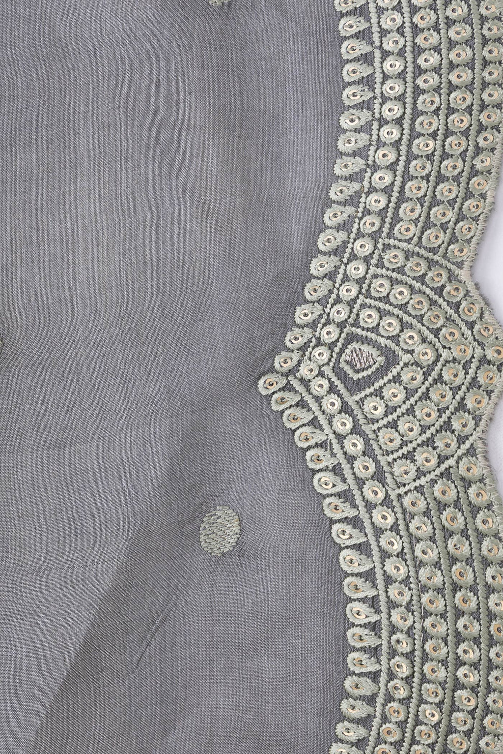 Border image of Grey Dual Tone Tussar Silk Saree with Embroidery on the body and Embroidery Border. 
