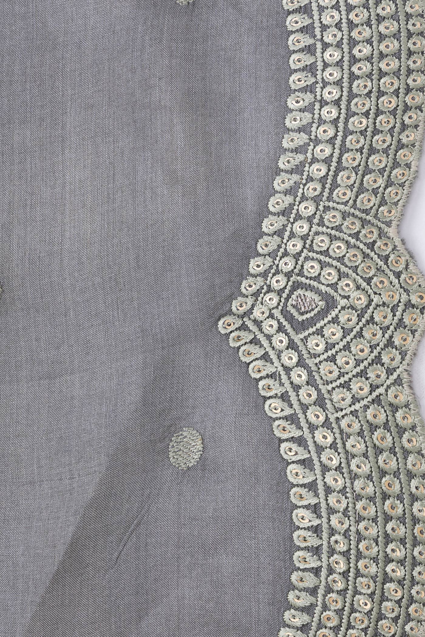 Border image of Grey Dual Tone Tussar Silk Saree with Embroidery on the body and Embroidery Border. 